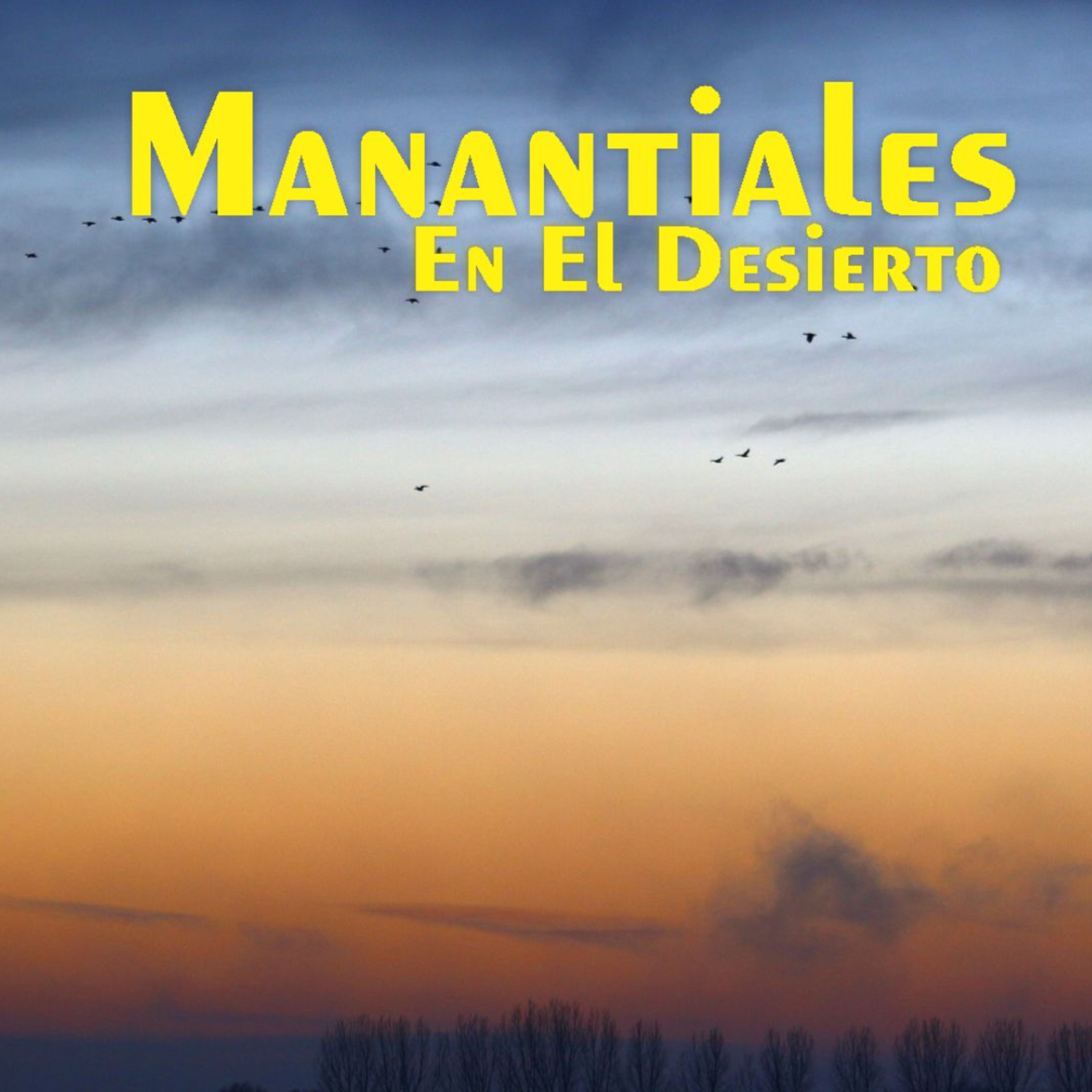 Manantiales en el Desierto - 4 de Julio episode artwork
