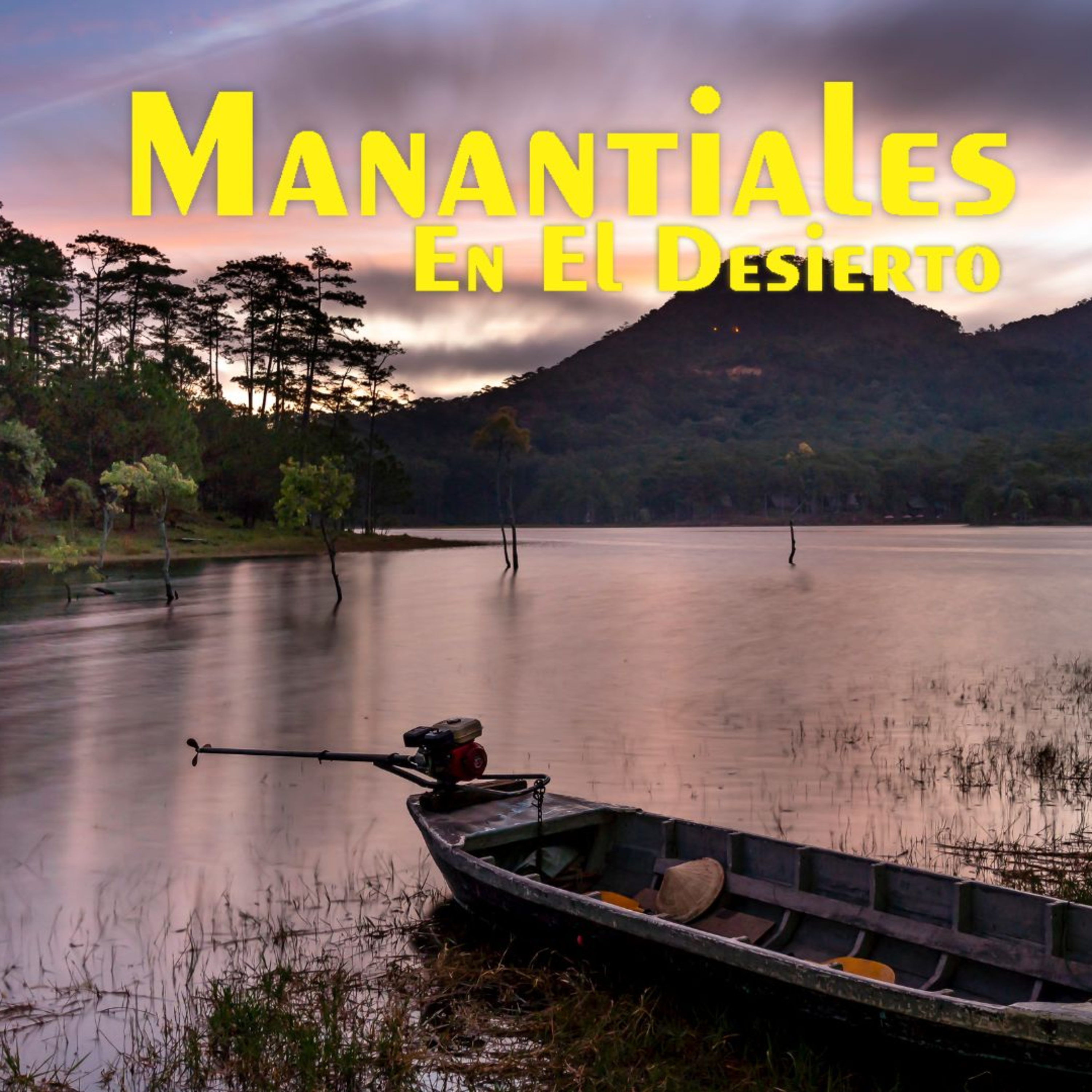 Manantiales en el Desierto - 5 de Julio episode artwork