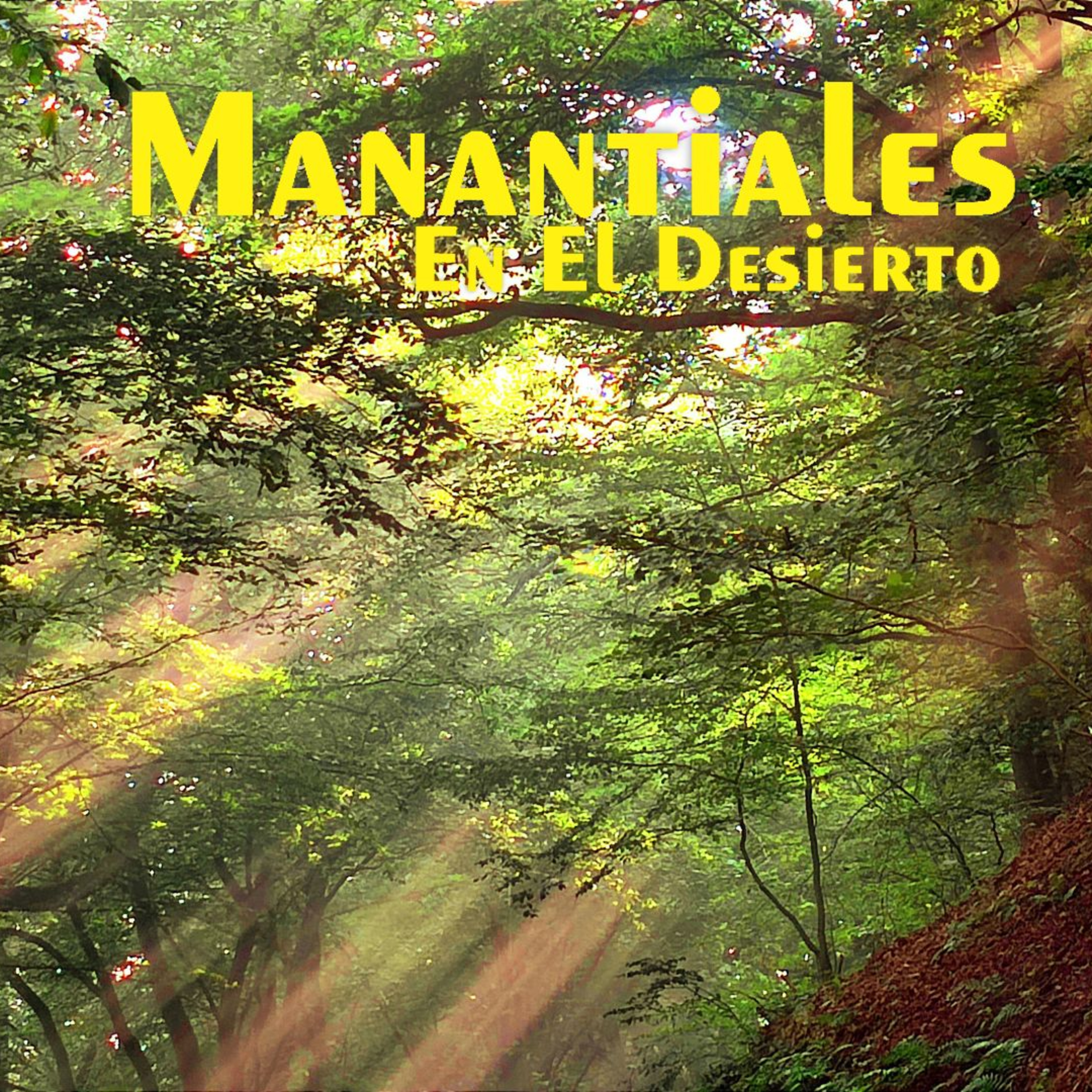 Manantiales en el Desierto - 7 de Julio episode artwork