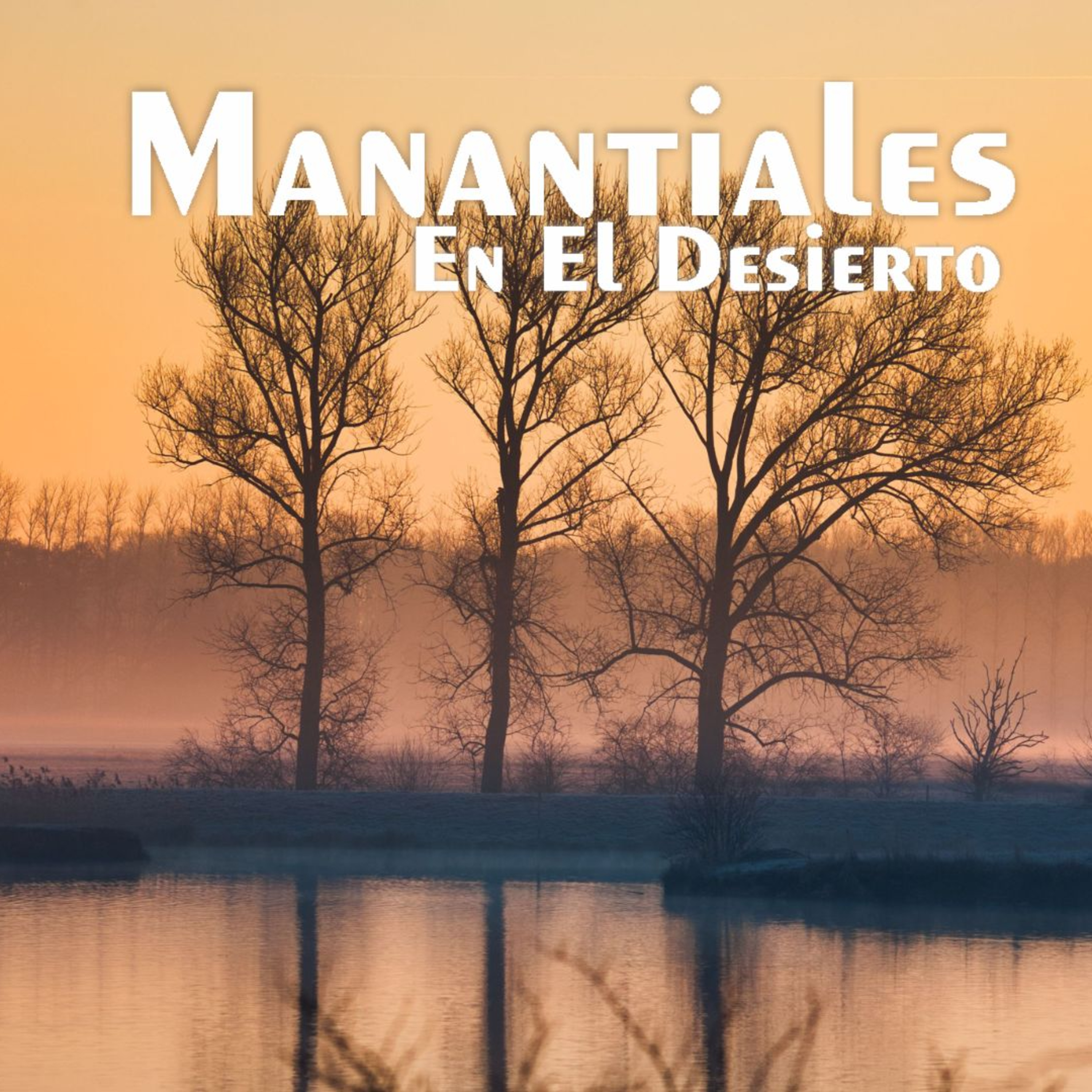 Manantiales en el Desierto - 13 de Julio episode artwork