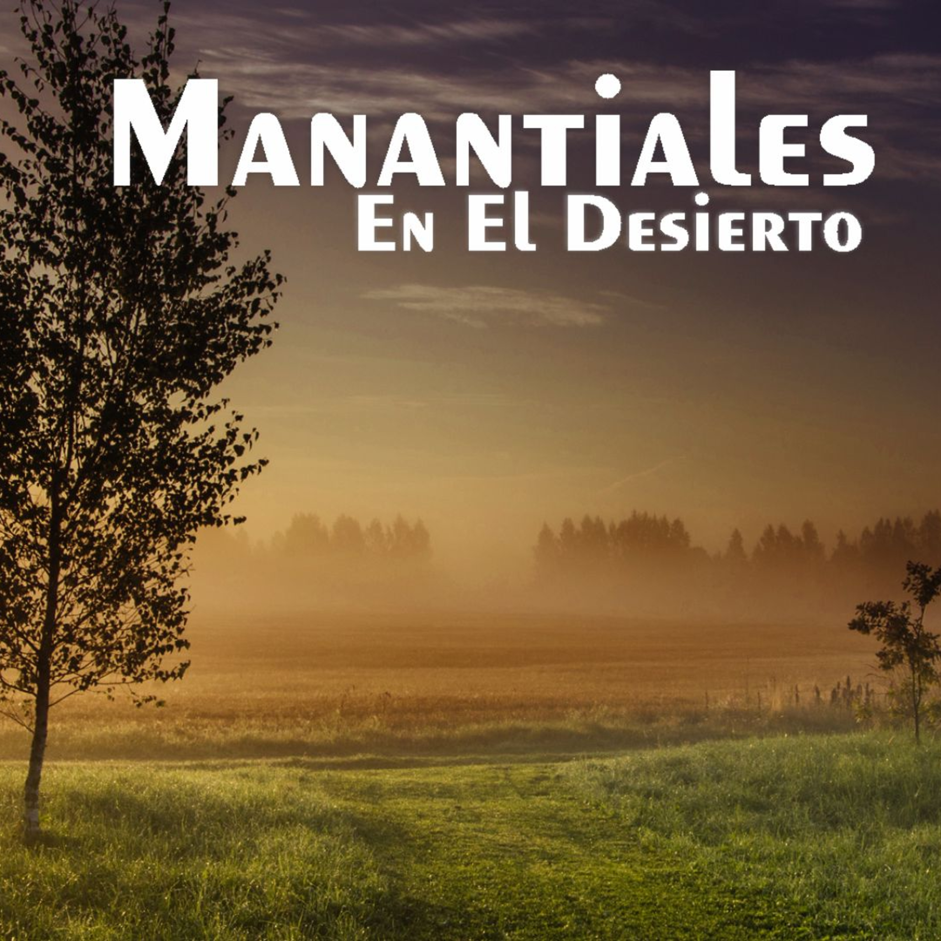 Manantiales en el Desierto - 16 de Julio episode artwork