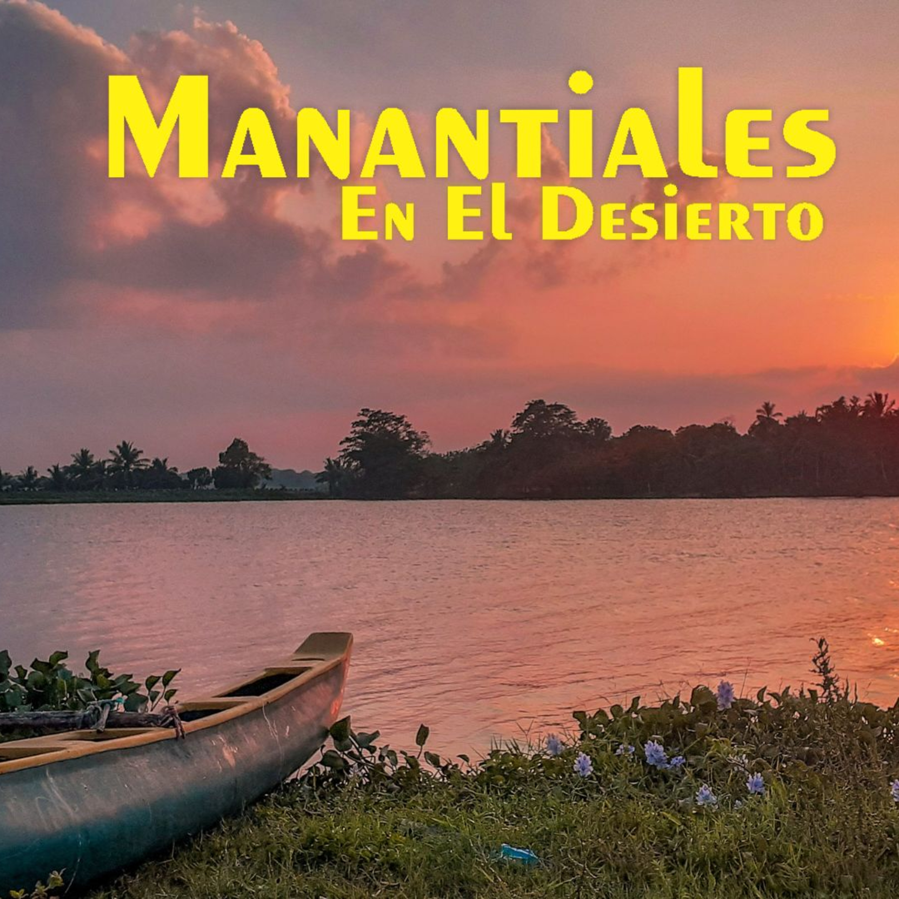 Manantiales en el Desierto - 28 de Julio episode artwork