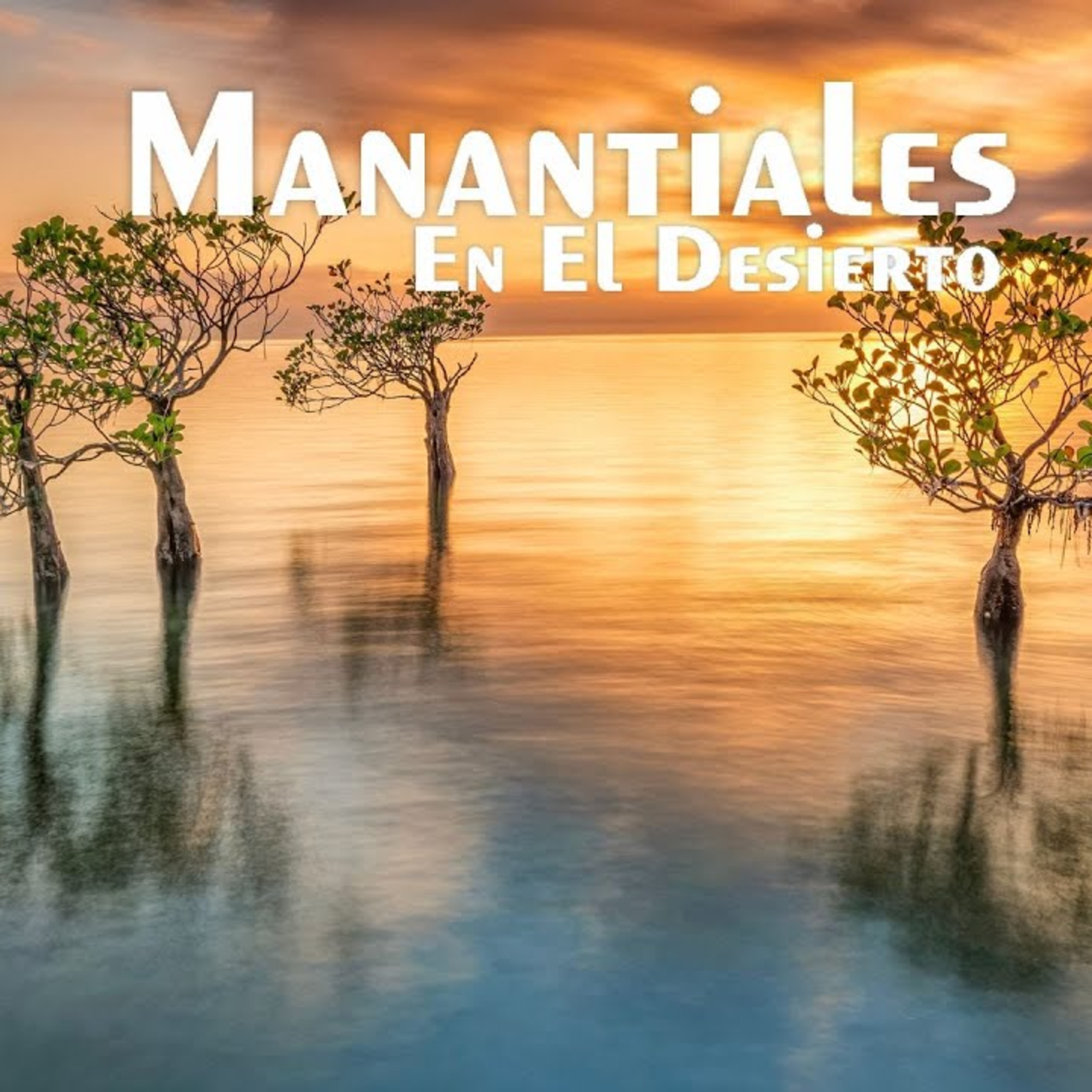 Manantiales en el Desierto - 3 de Septiembre episode artwork