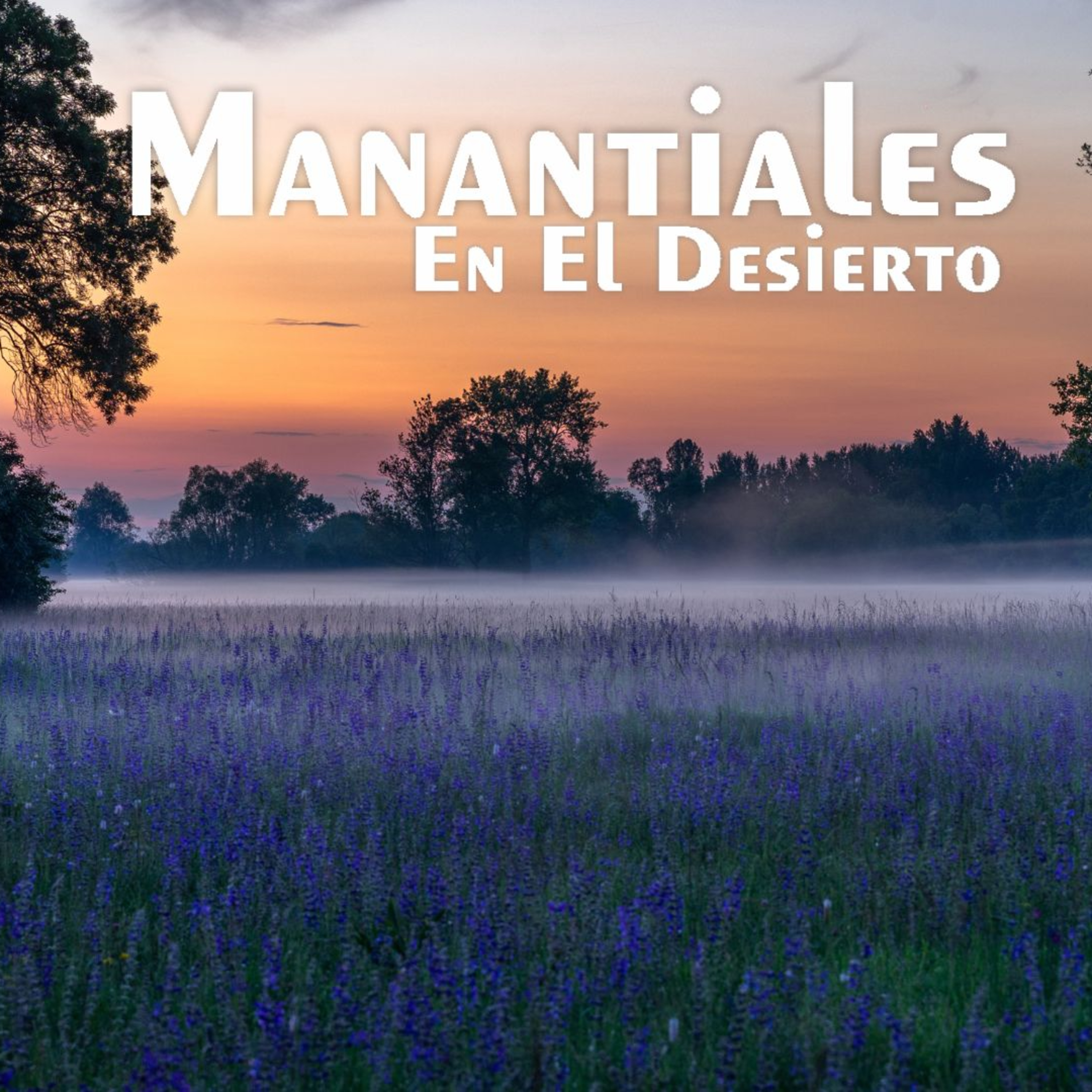 Manantiales en el Desierto - 12 de Septiembre episode artwork
