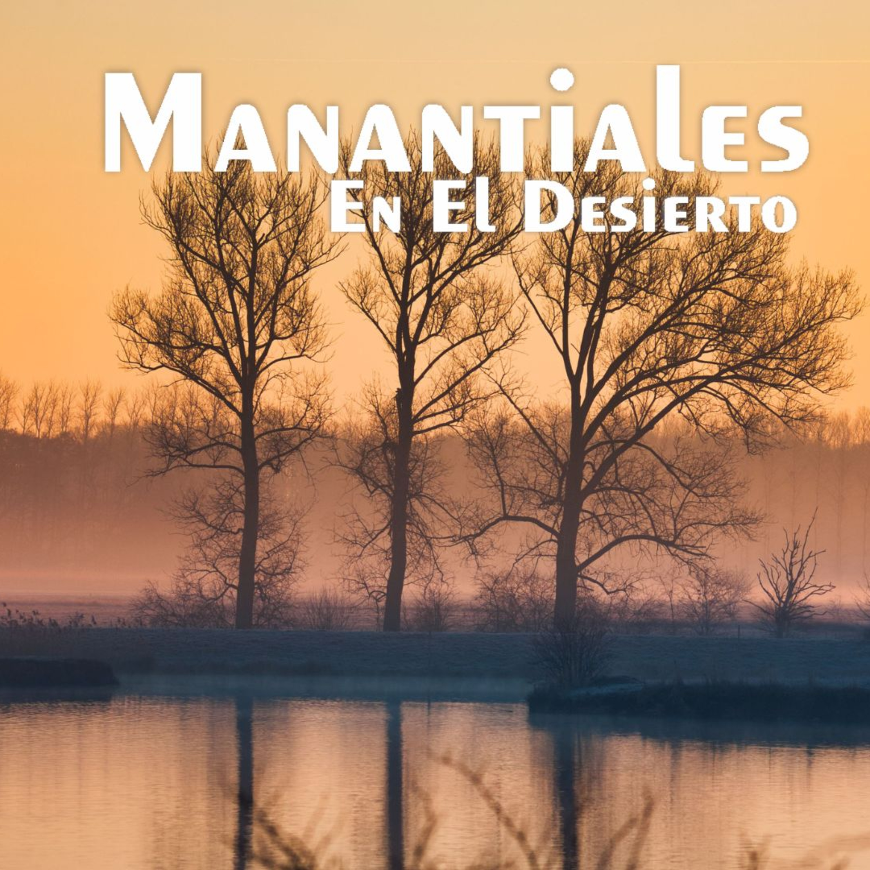 Manantiales en el Desierto - 8 de Octubre episode artwork