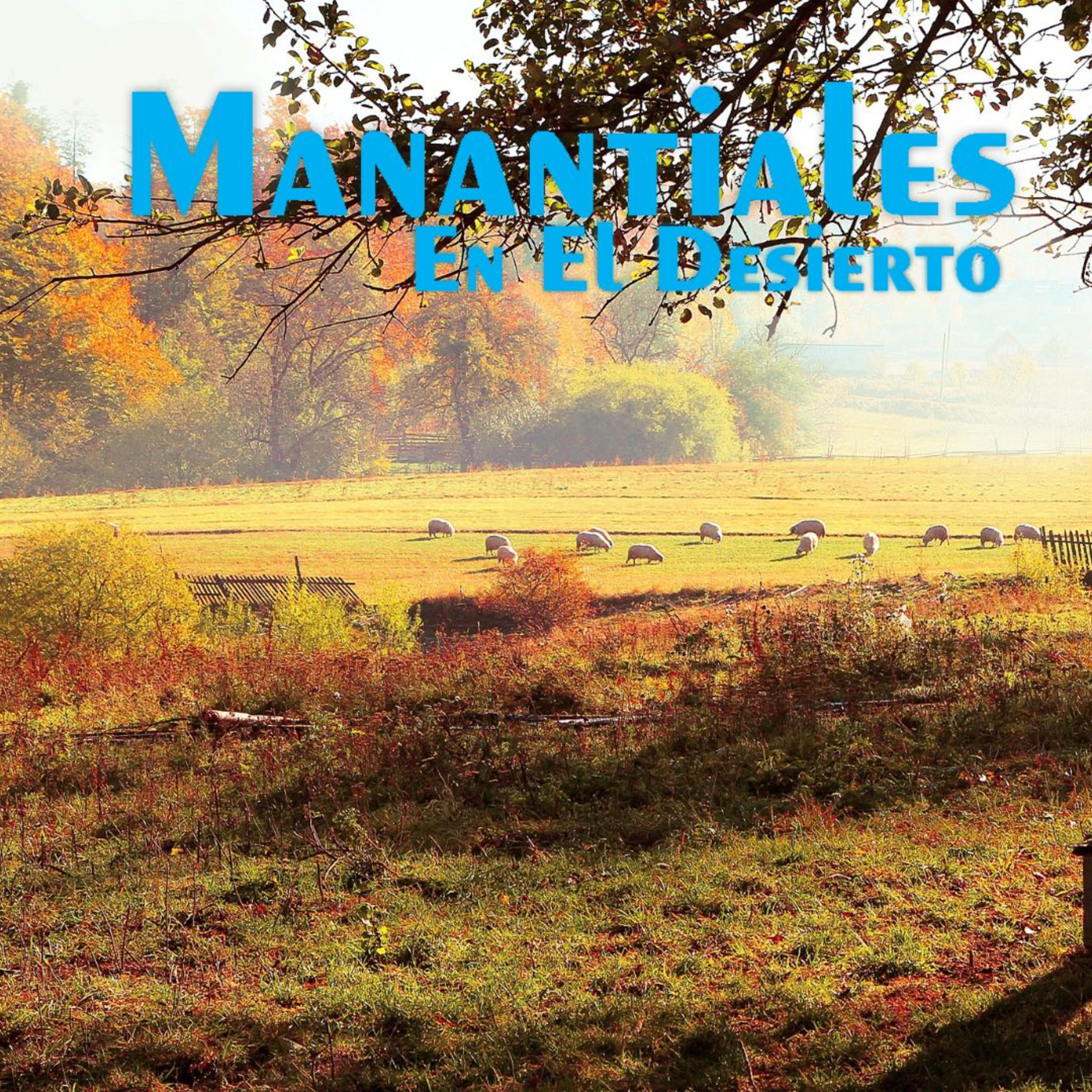  Manantiales en el Desierto - 13 de Octubre episode artwork