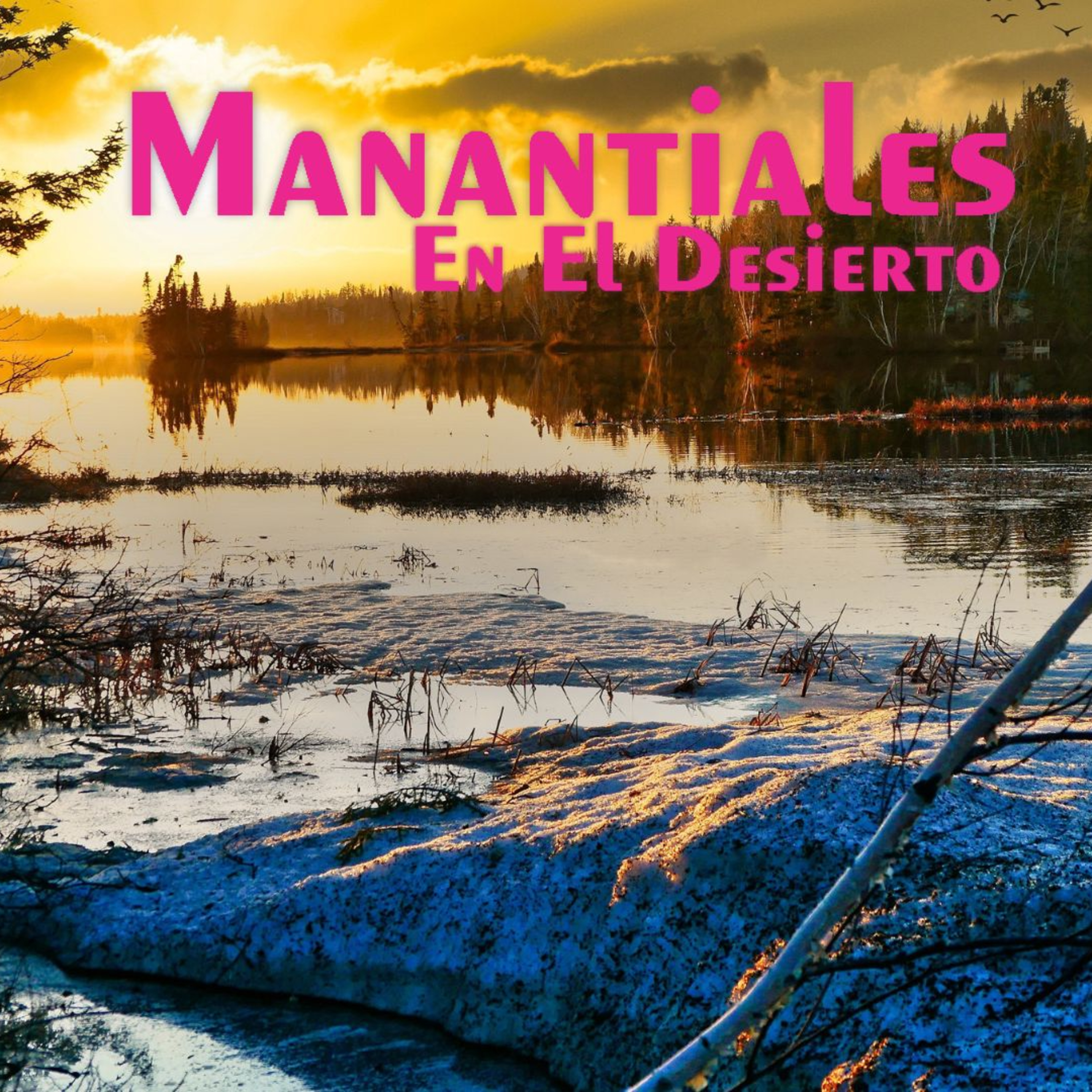 Manantiales en el Desierto - 1 de Noviembre episode artwork