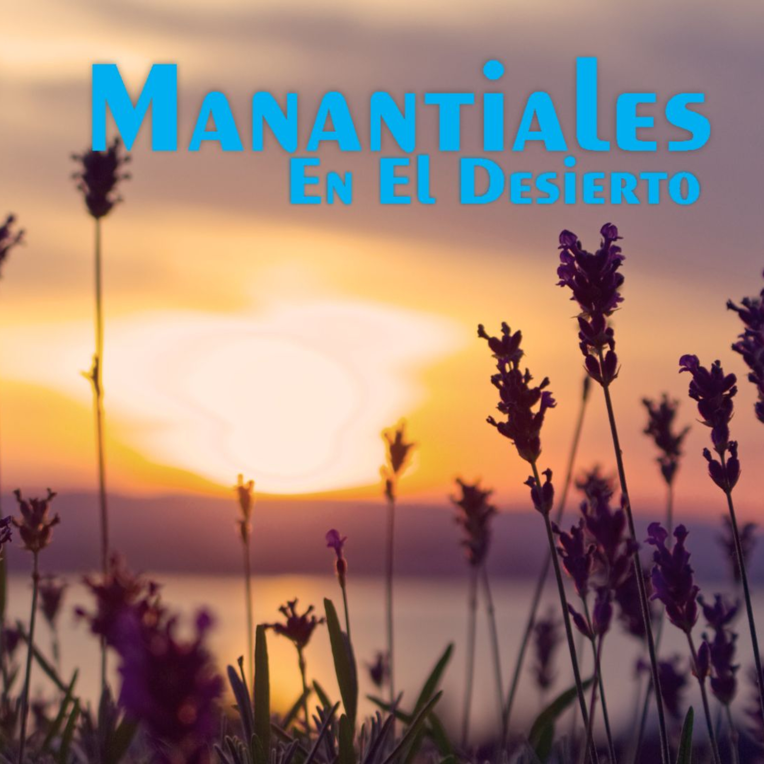 Manantiales en el Desierto - 4 de Noviembre episode artwork
