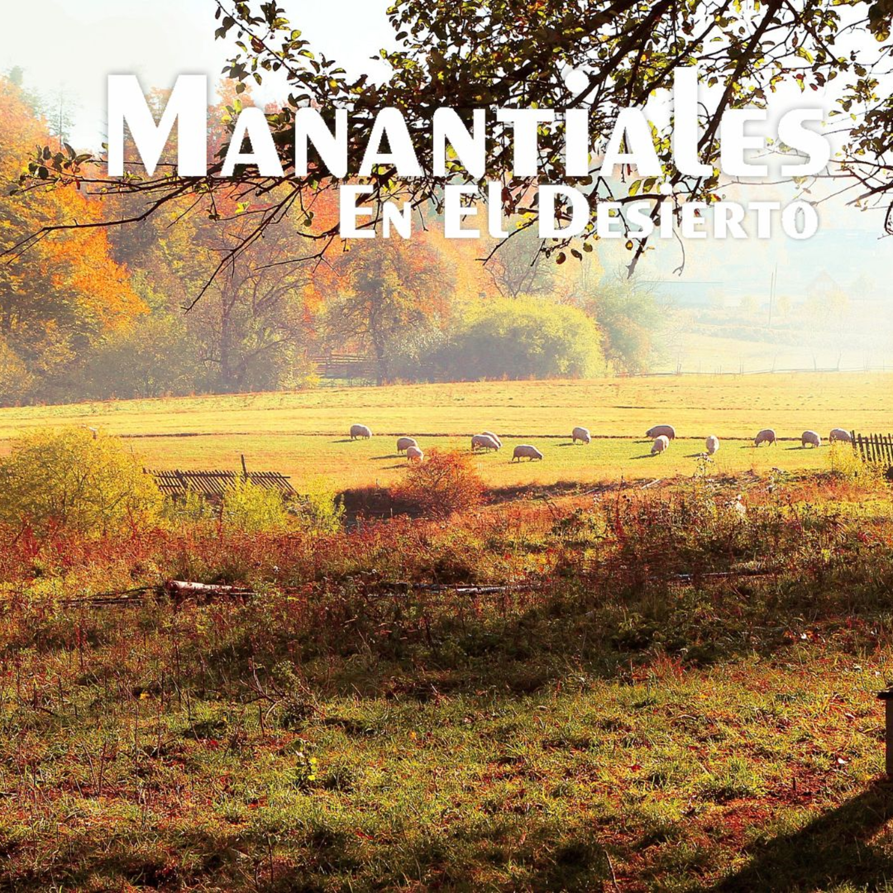Manantiales en el Desierto - 9 de Noviembre episode artwork