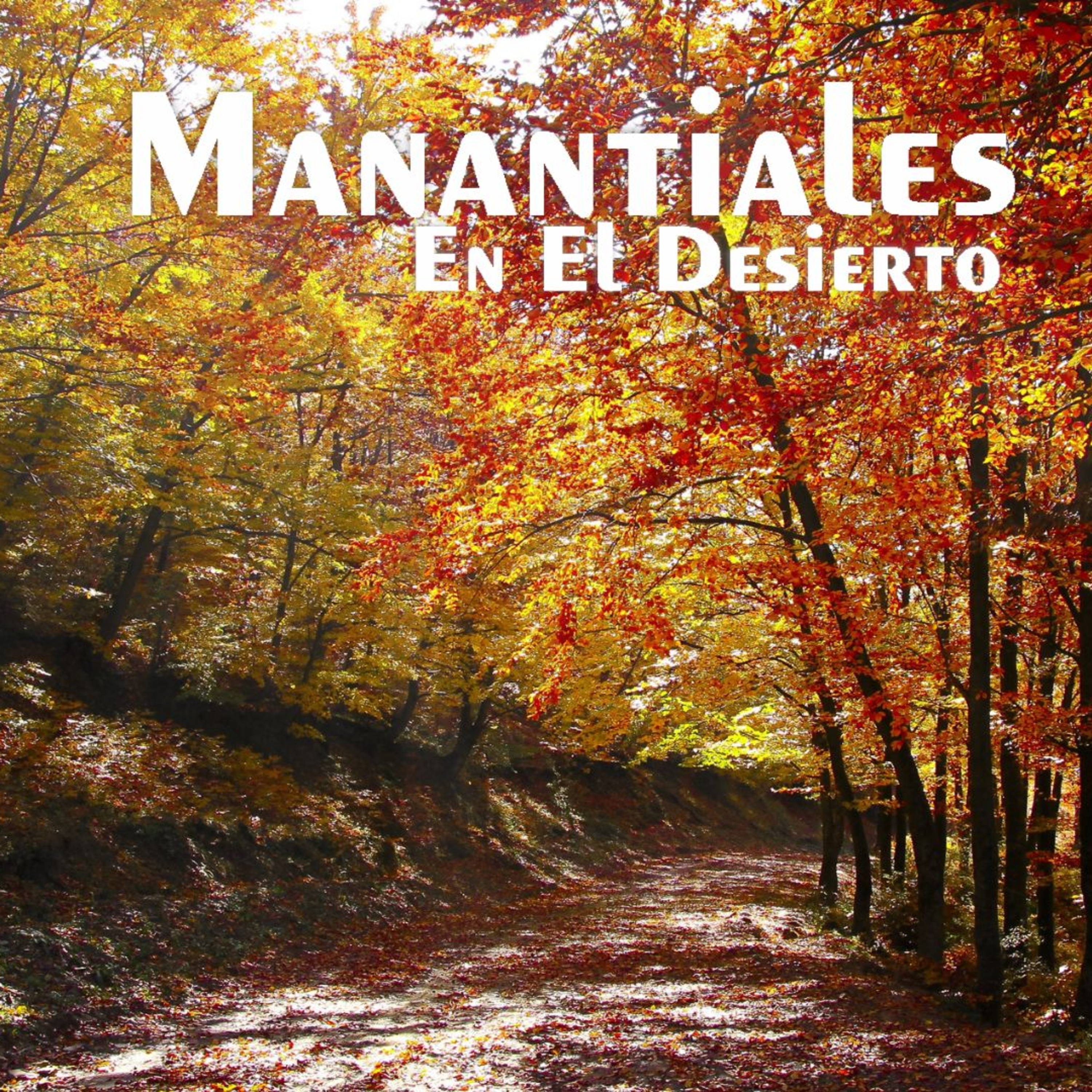 Manantiales en el Desierto - 11 de Noviembre episode artwork