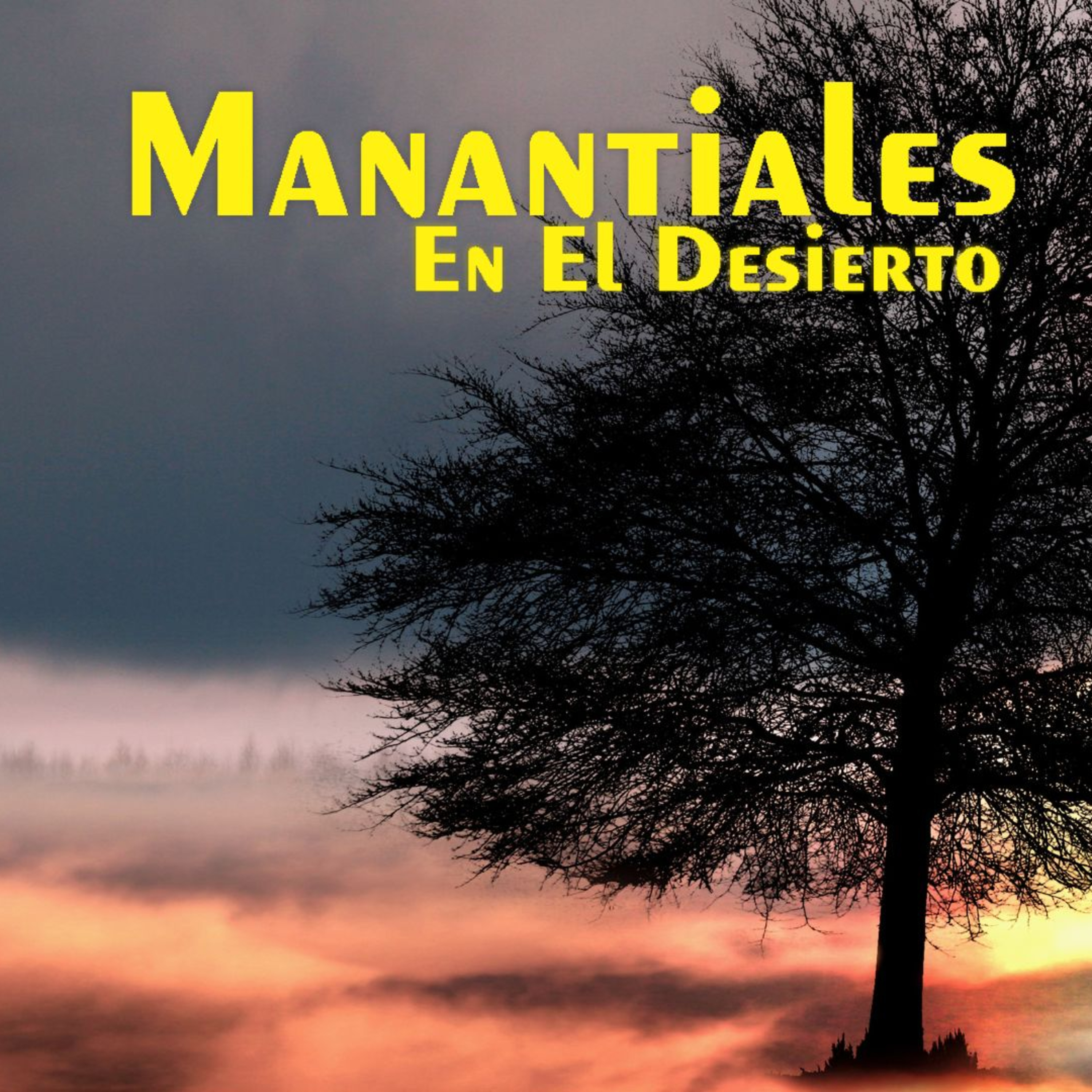 Manantiales en el Desierto - 17 de Noviembre episode artwork