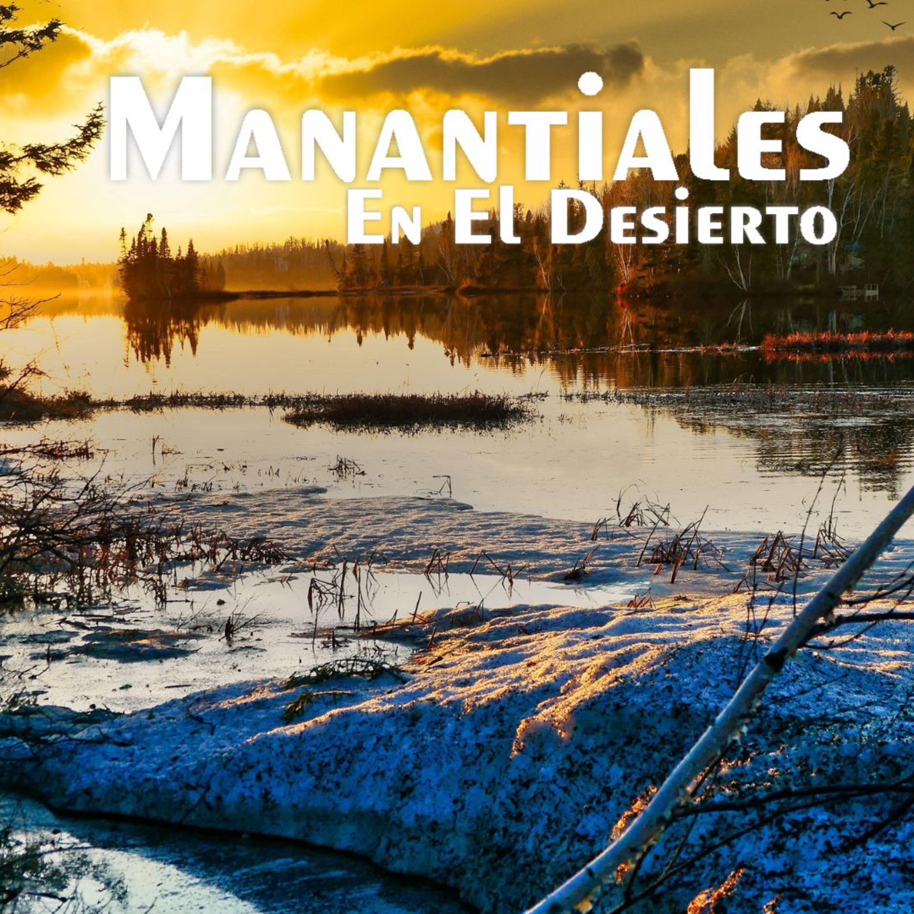 Manantiales en el Desierto - 26 de Noviembre episode artwork