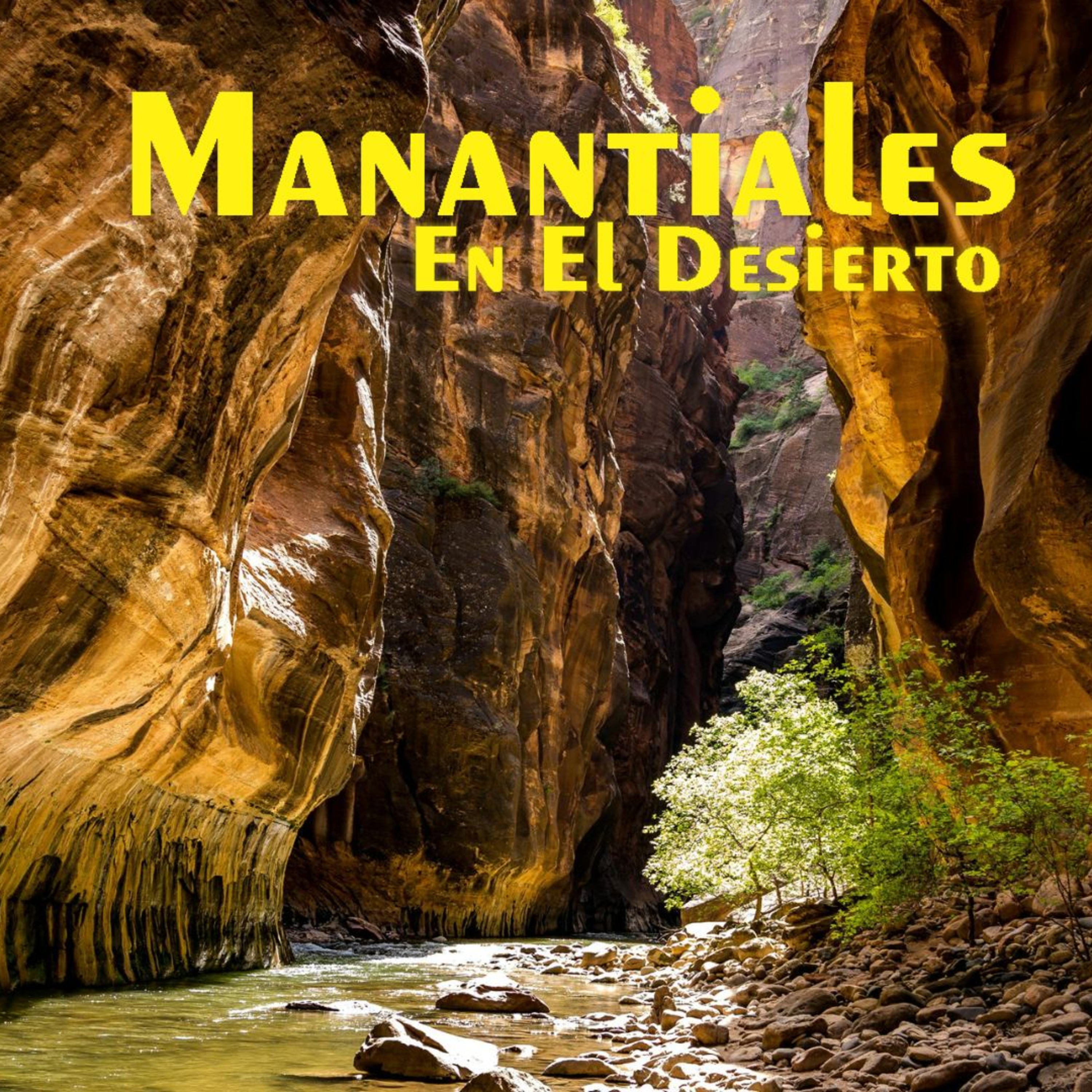 Manantiales en el Desierto - 3 de Diciembre episode artwork