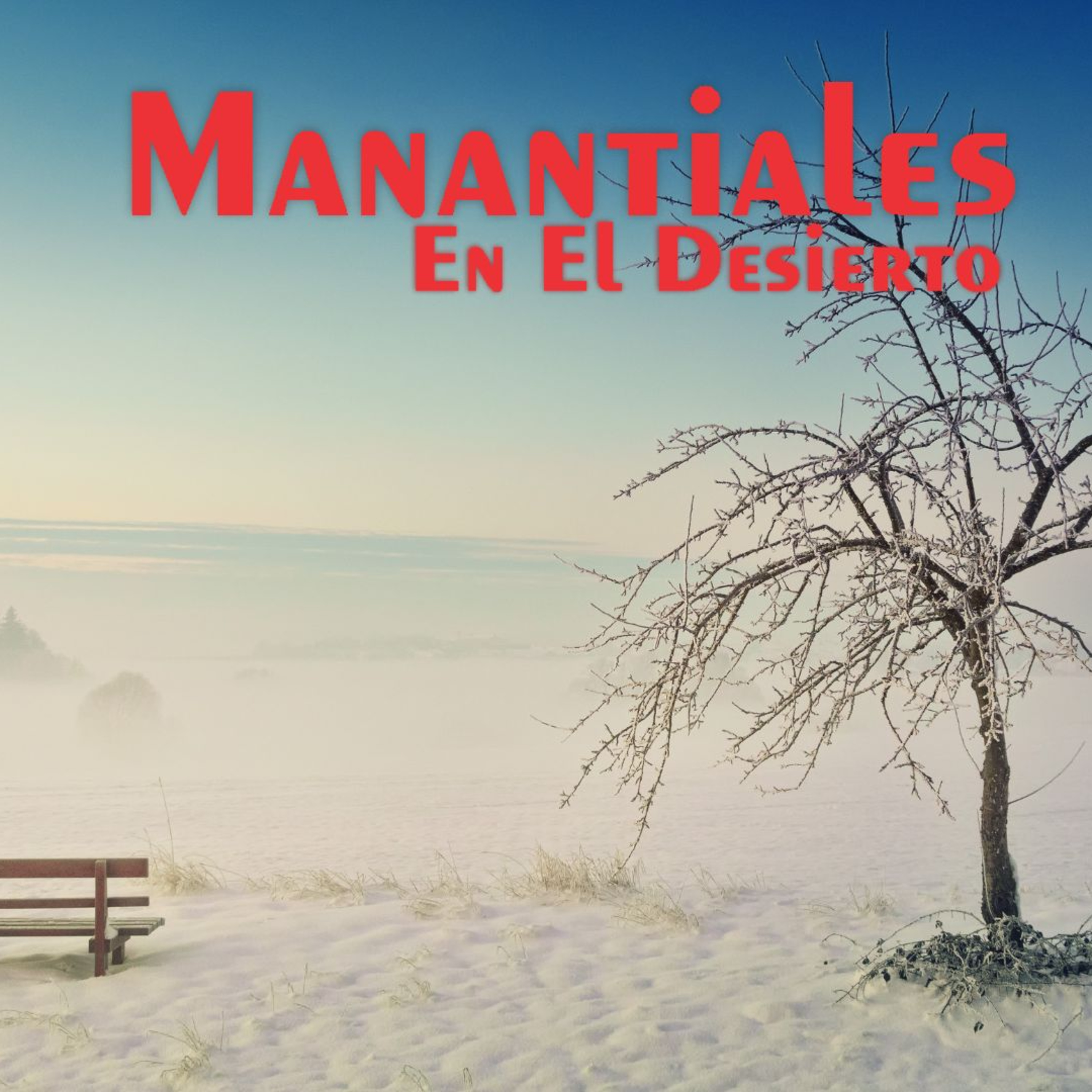 Manantiales en el Desierto - 6 de Diciembre episode artwork