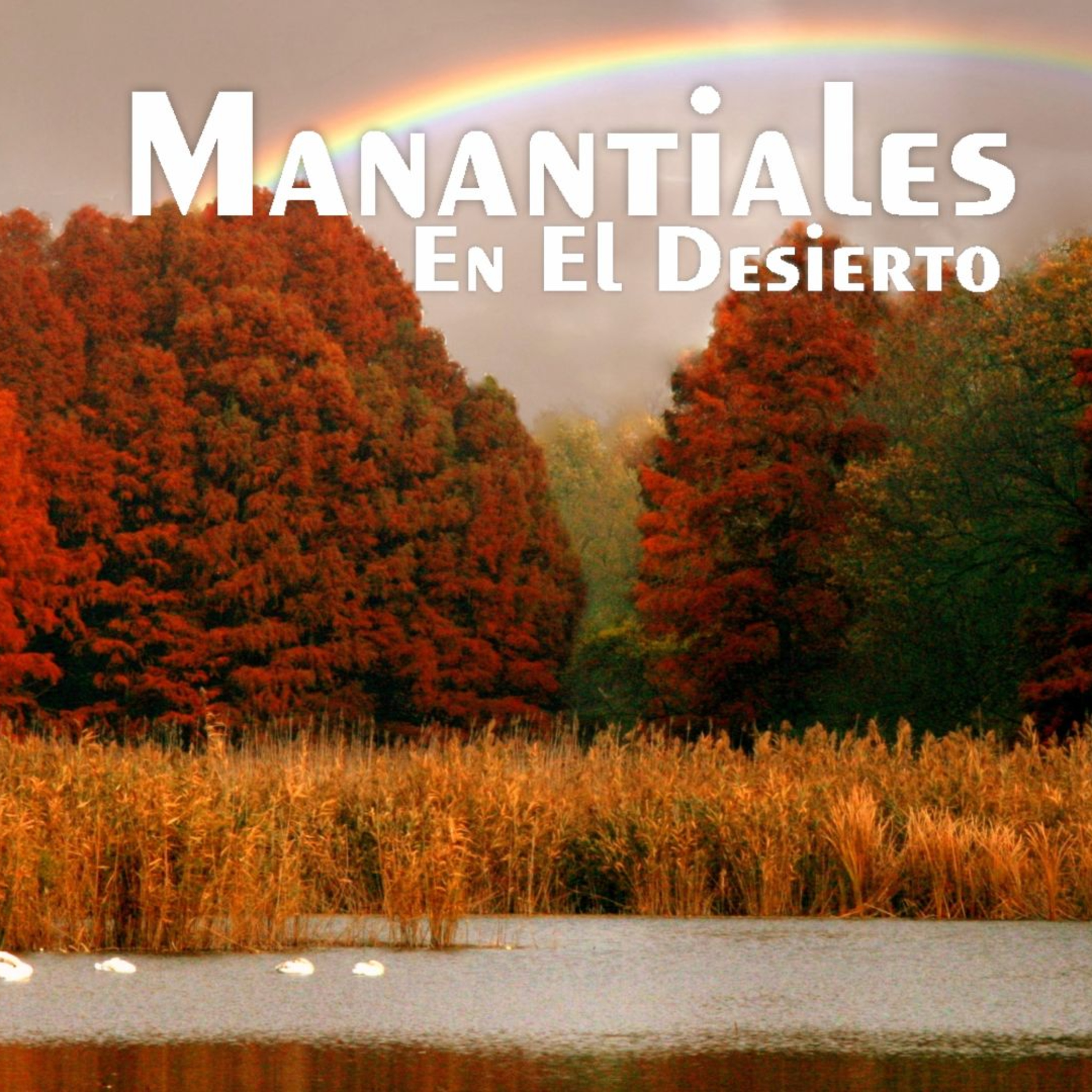 Manantiales en el Desierto - 8 de Diciembre episode artwork