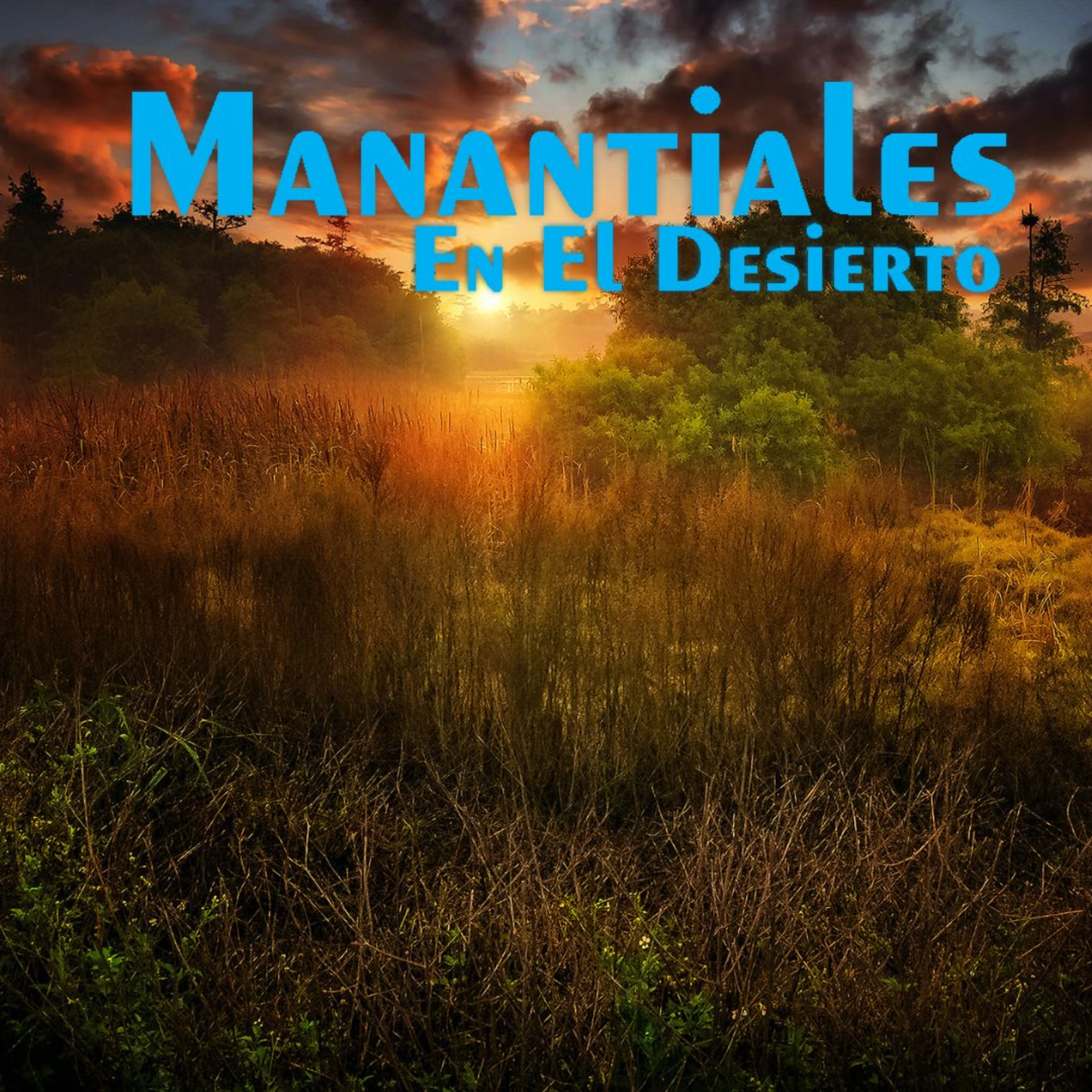 Manantiales en el Desierto - 12 de Diciembre episode artwork