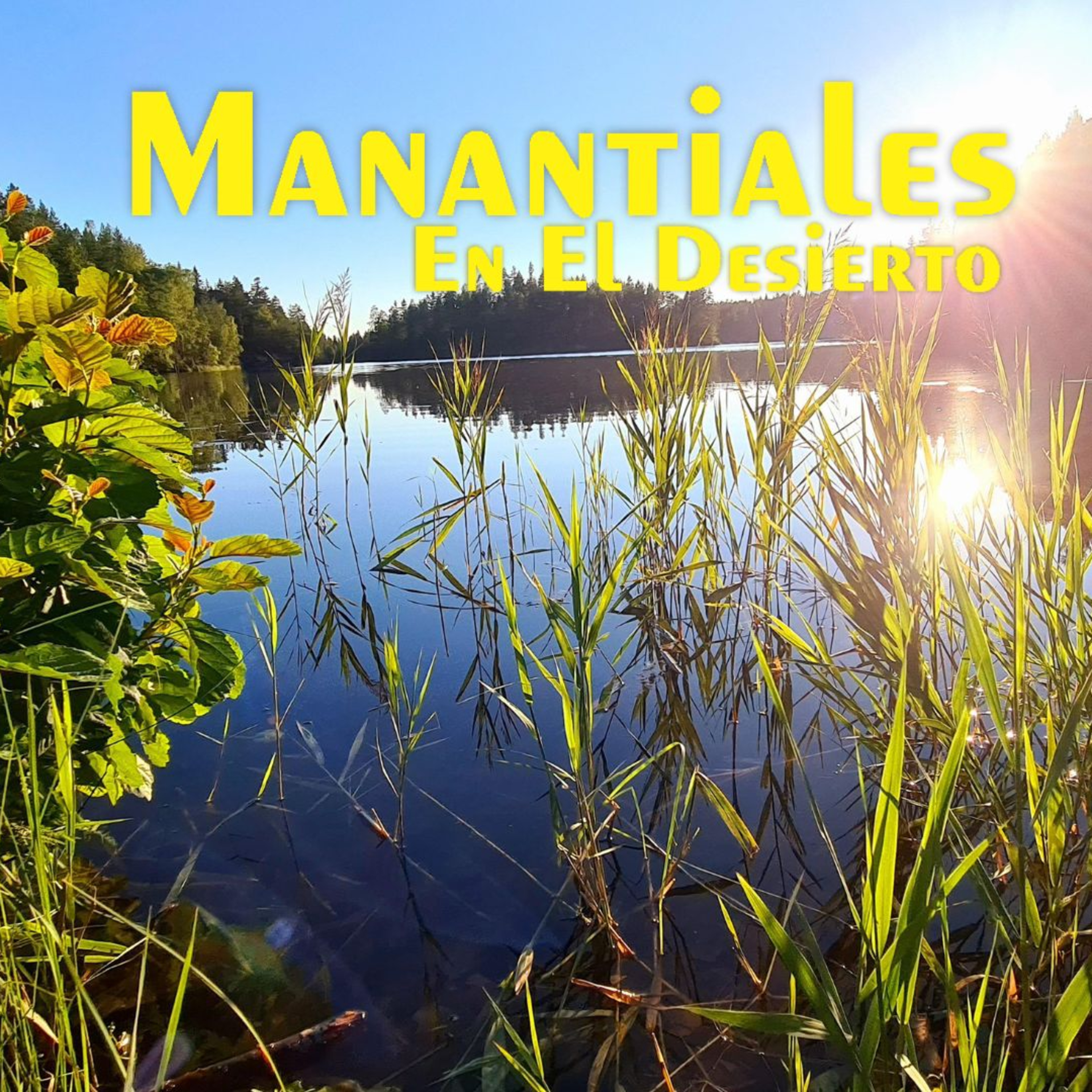 Manantiales en el Desierto - 14 de Diciembre episode artwork