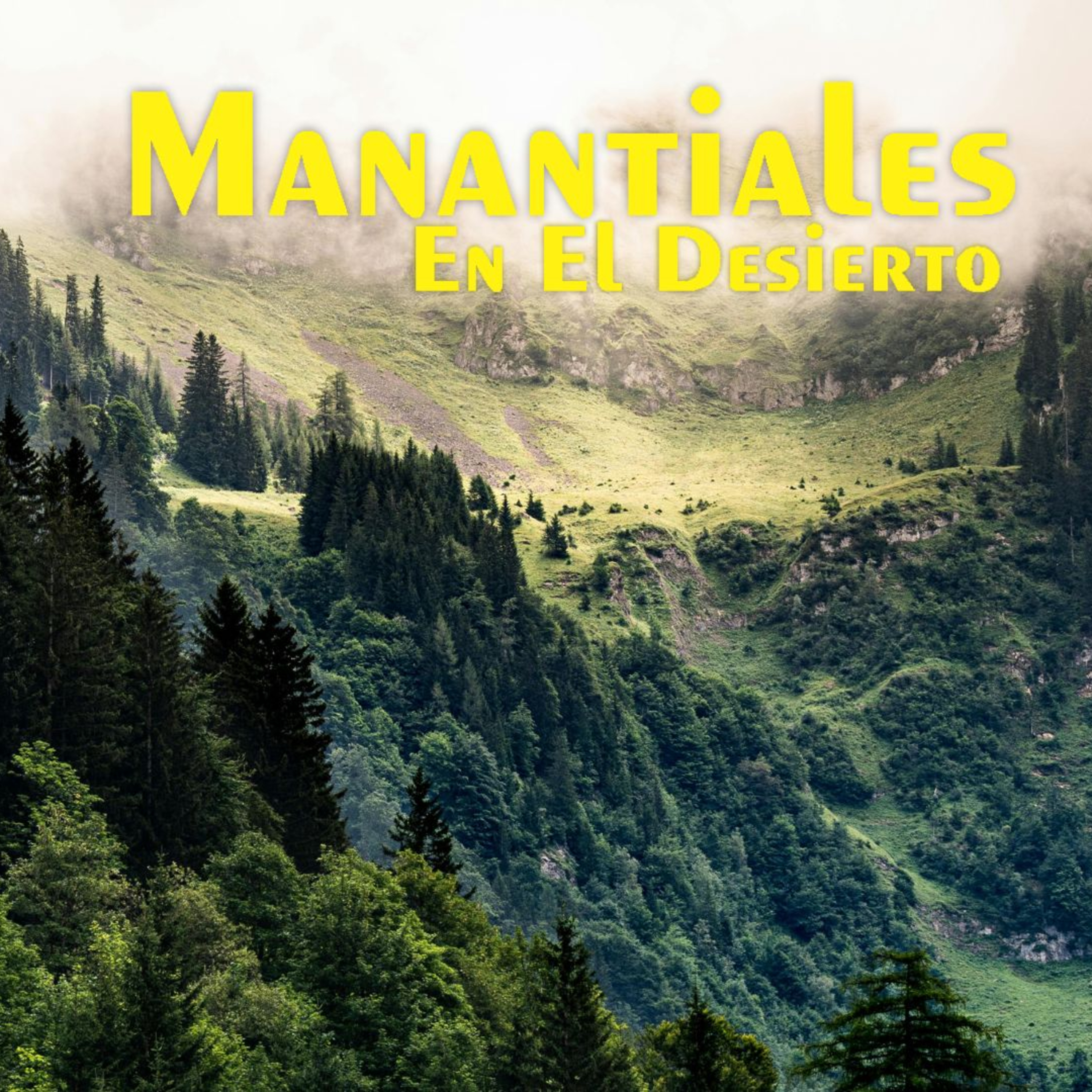 Manantiales en el Desierto - 24 de Diciembre episode artwork