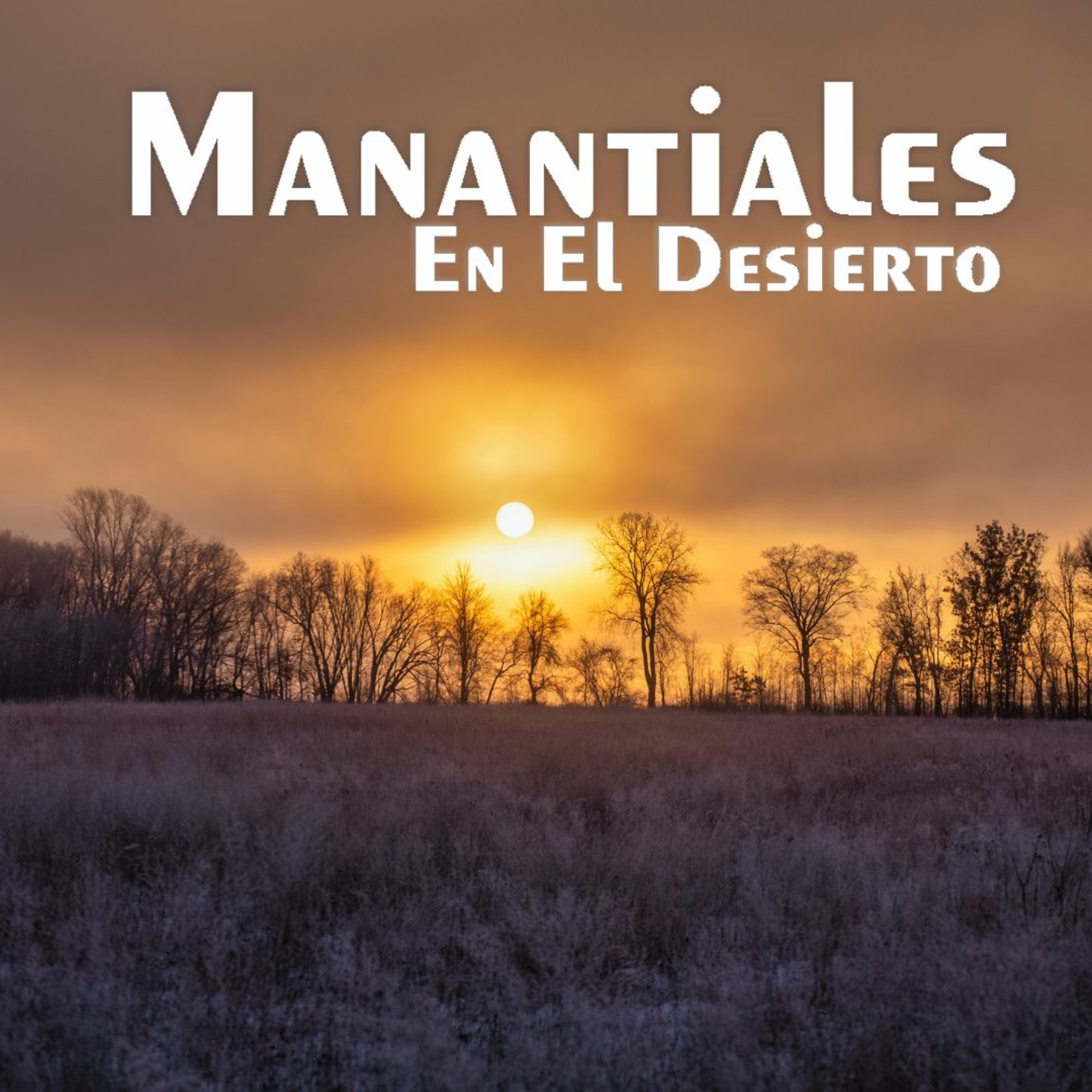 Manantiales en el Desierto - 26 de Diciembre episode artwork