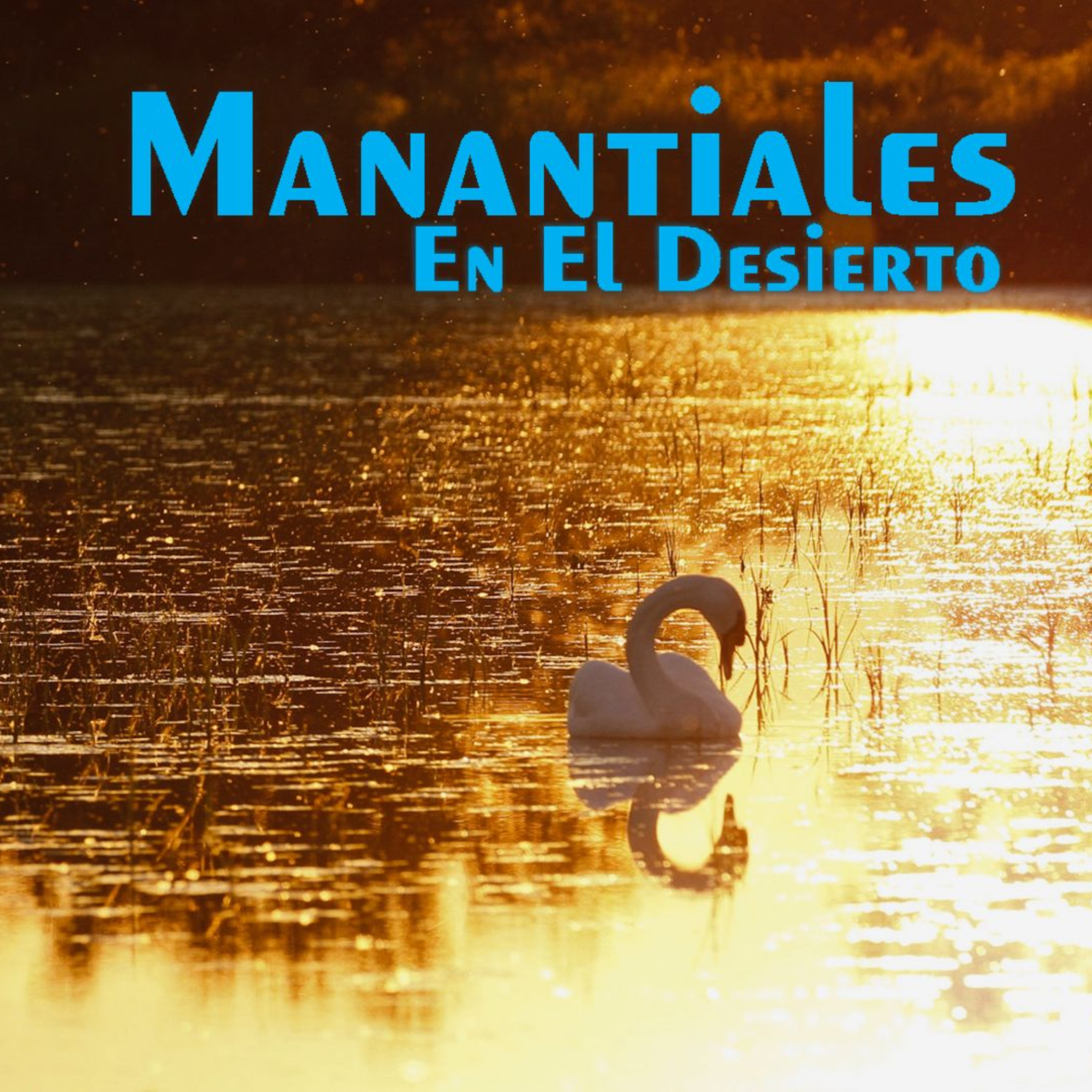 Manantiales en el Desierto - 27 de Diciembre episode artwork