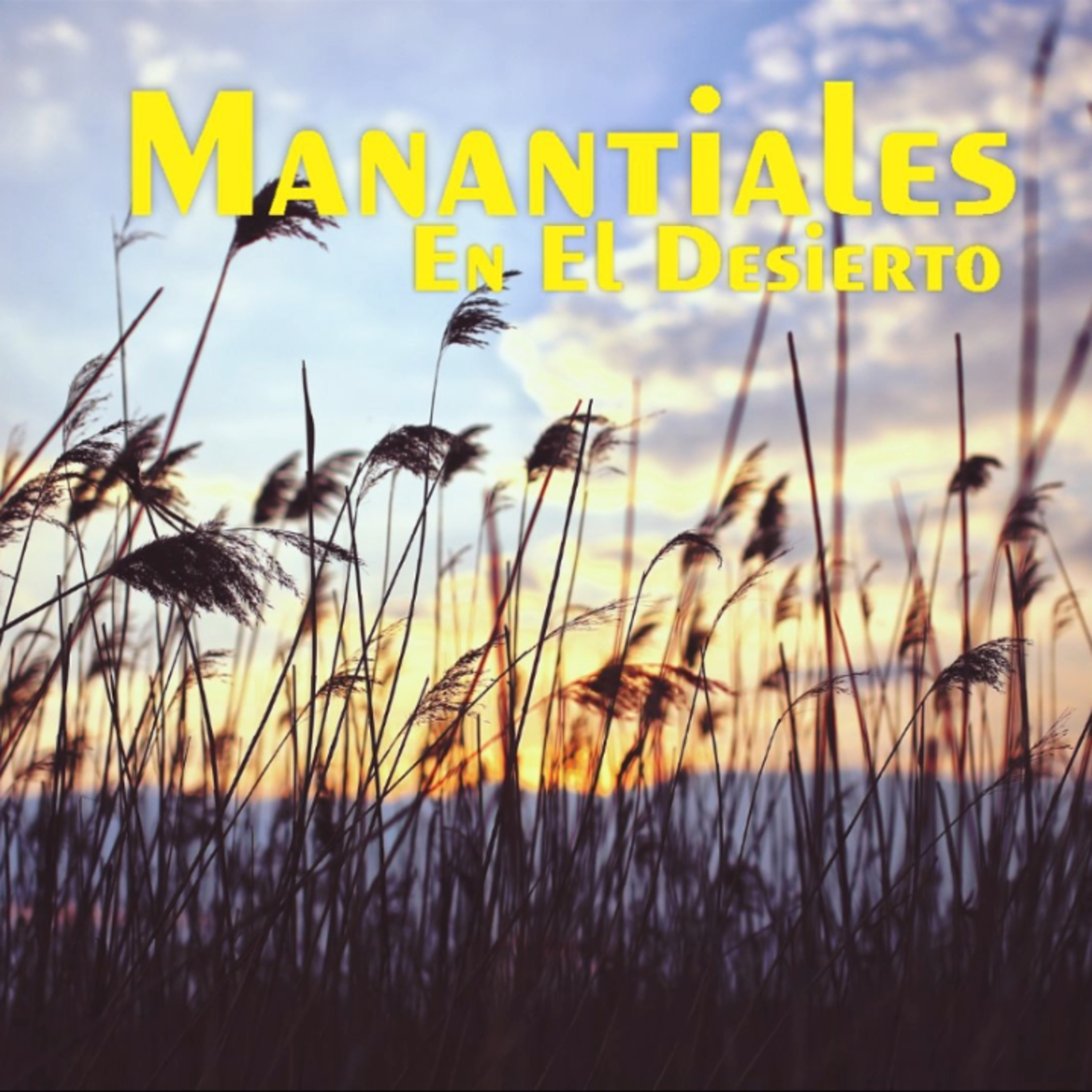 Manantiales en el Desierto - 28 de Diciembre episode artwork