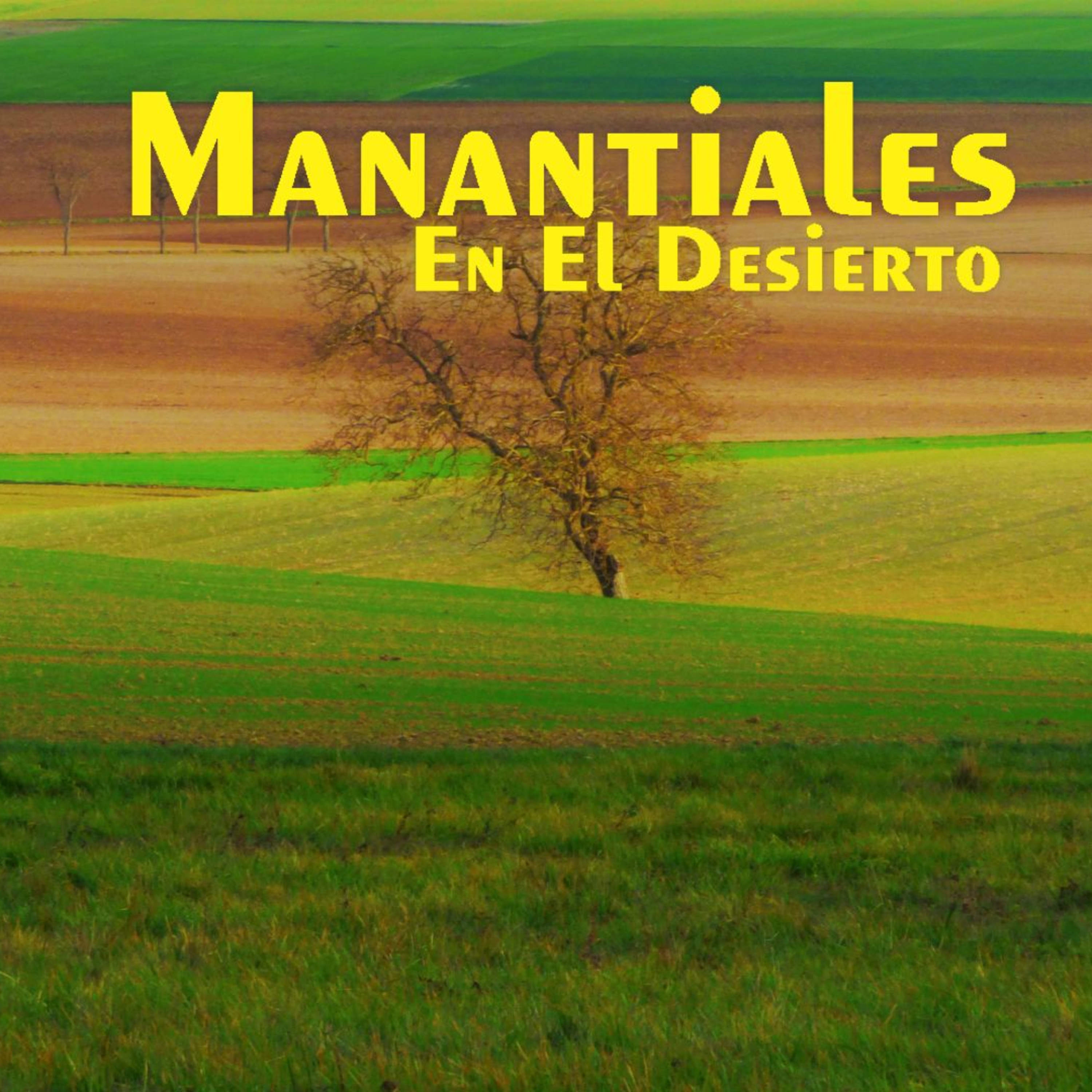 Manantiales en el Desierto - 30 de Diciembre episode artwork