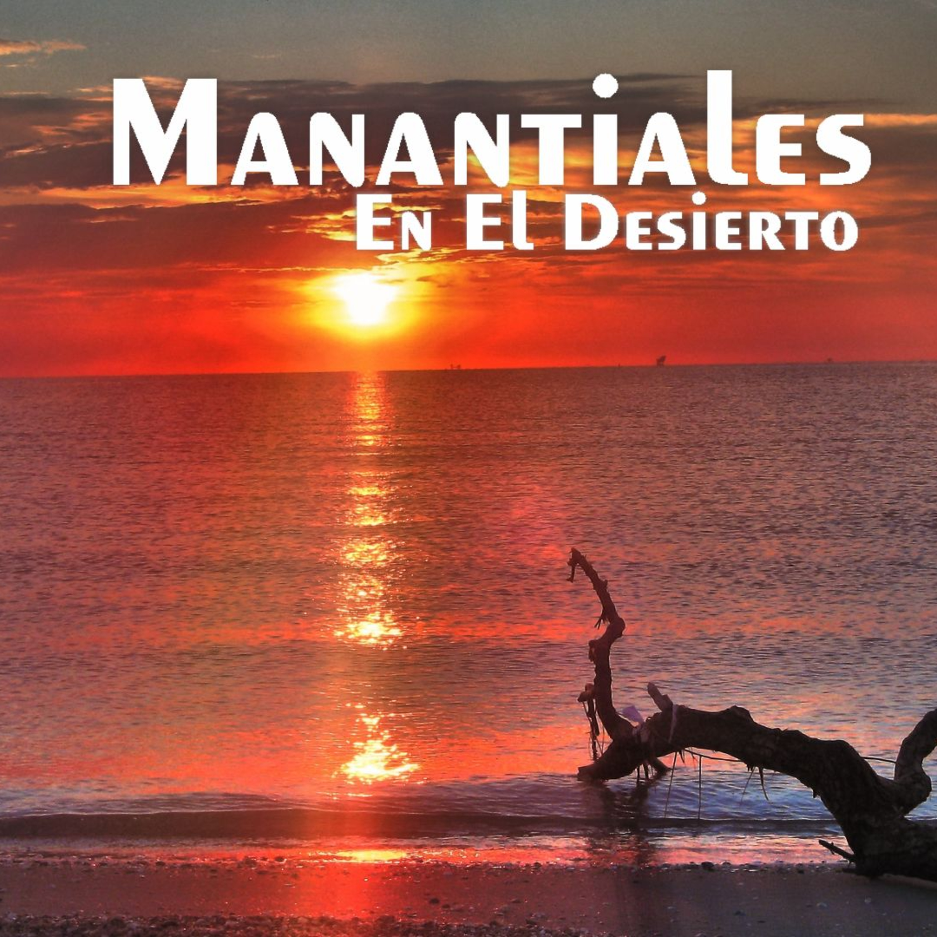 Manantiales en el Desierto - 1 de Enero episode artwork