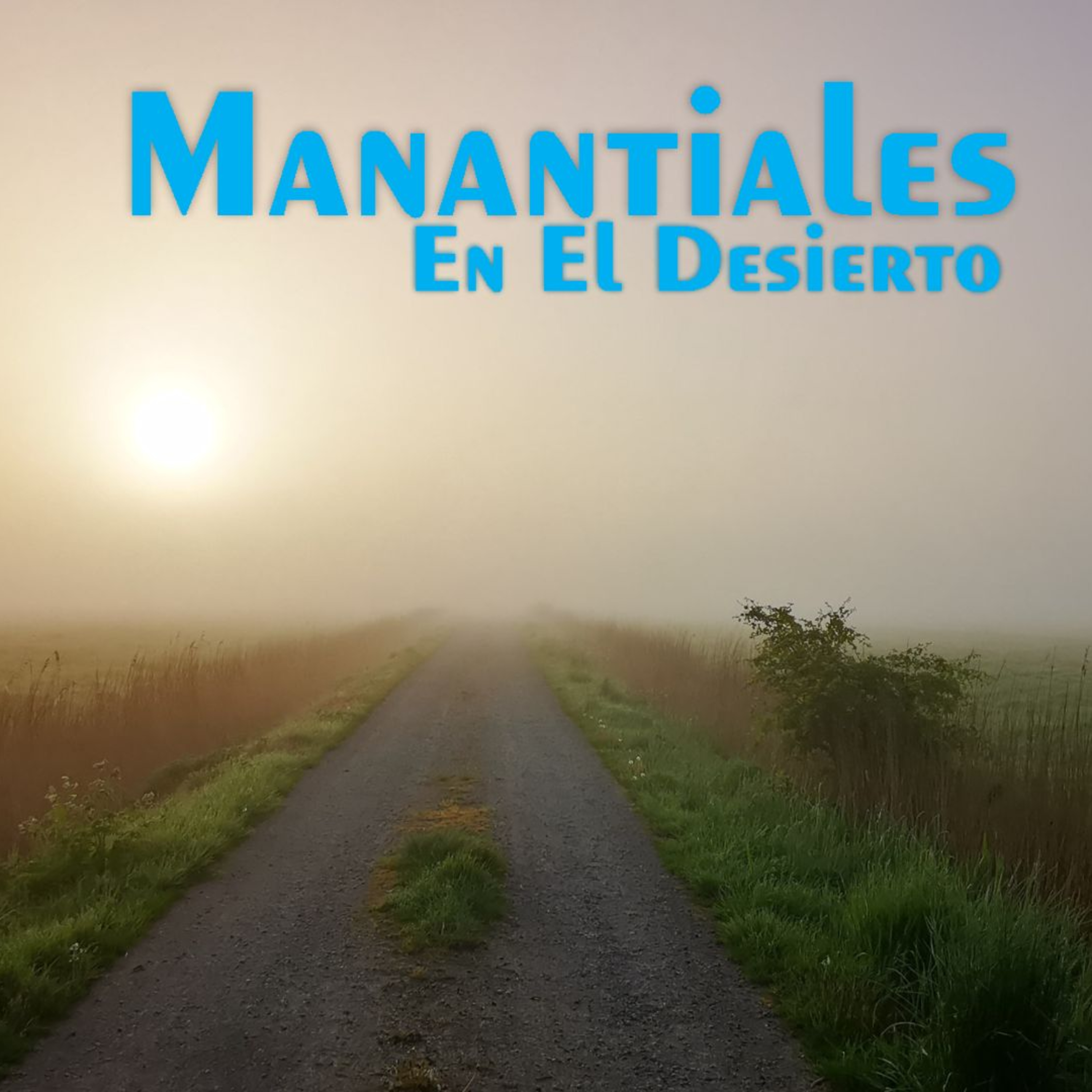 Manantiales en el Desierto - 2 de Enero episode artwork