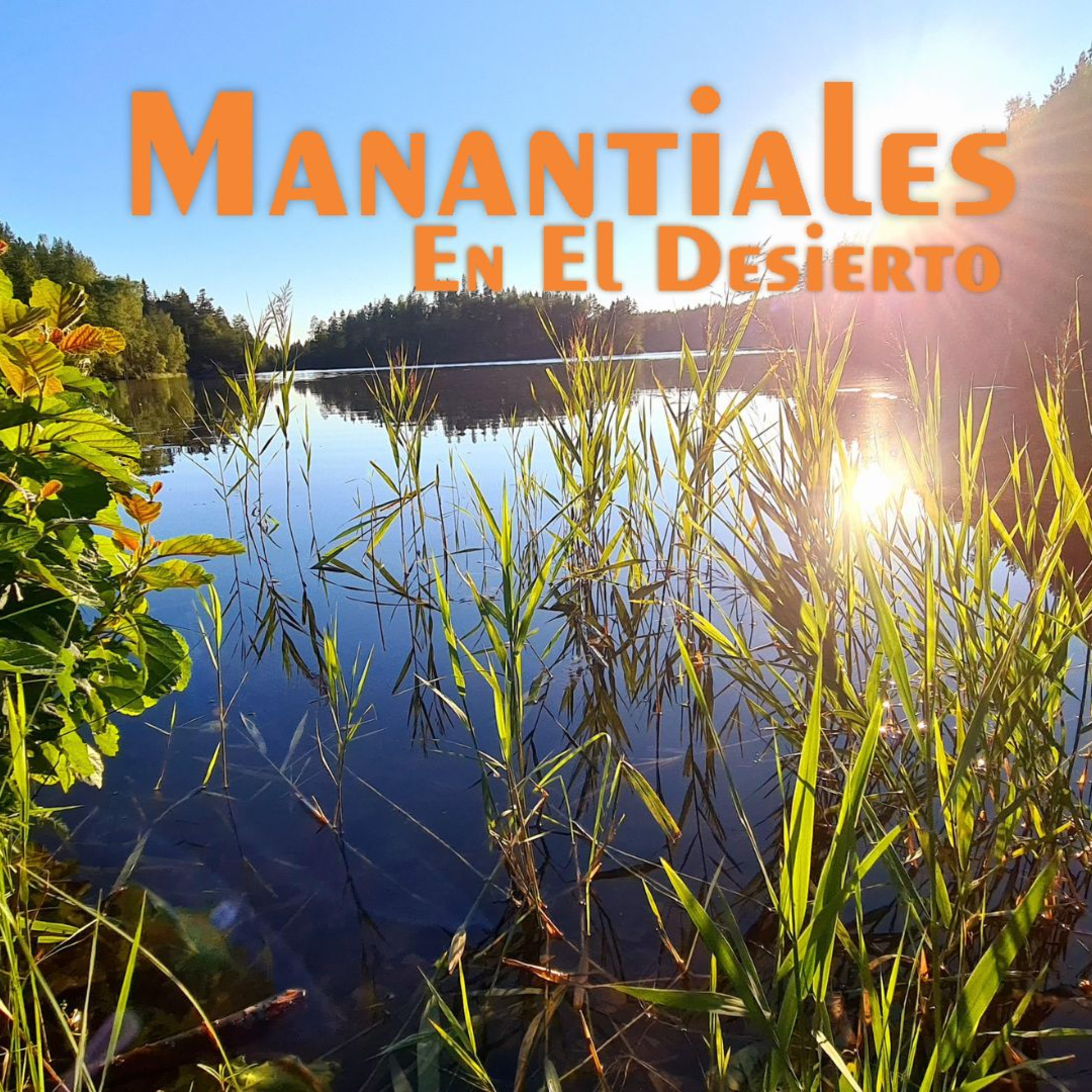 Manantiales en el Desierto - 6 de Enero episode artwork