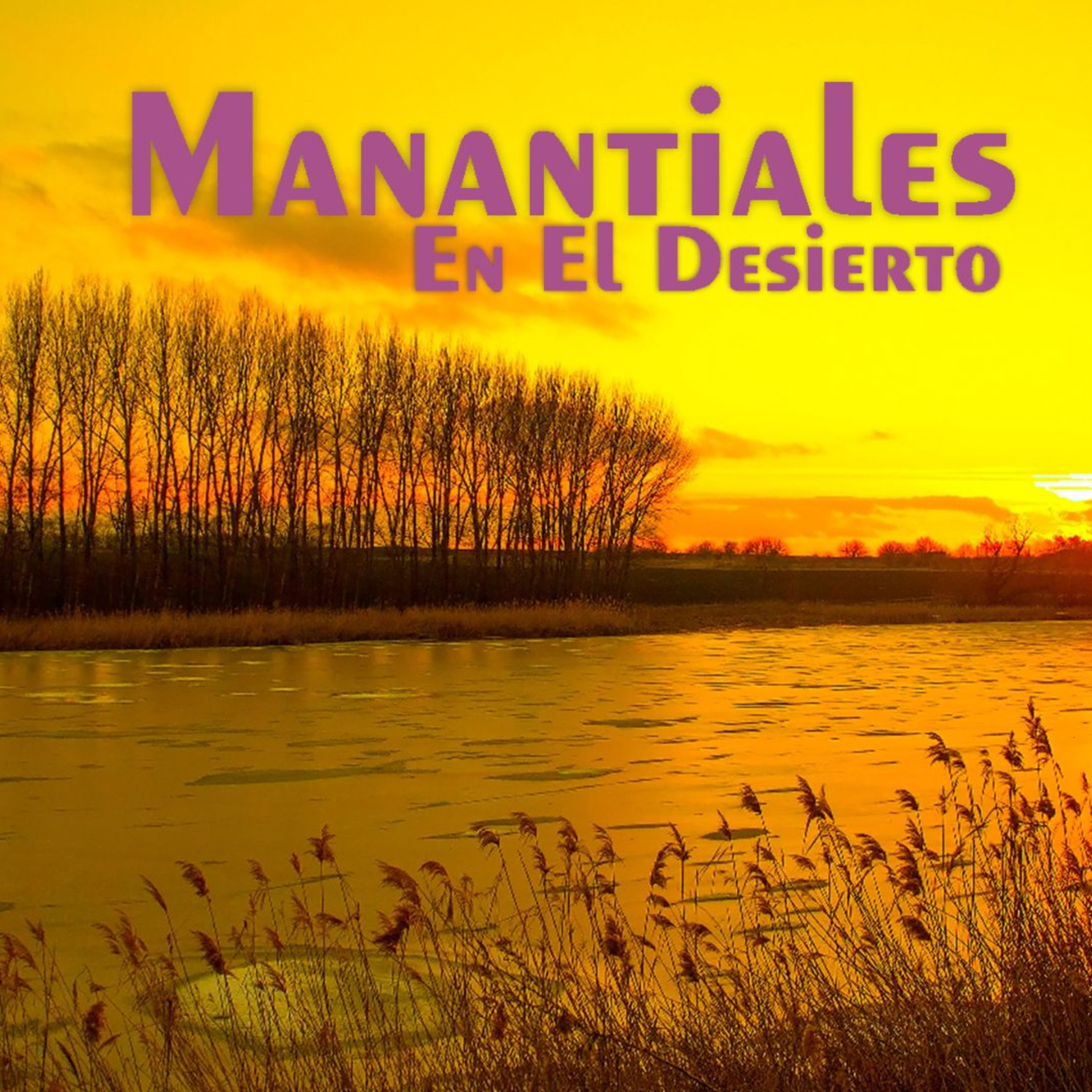 Manantiales en el Desierto - 7 de Enero episode artwork