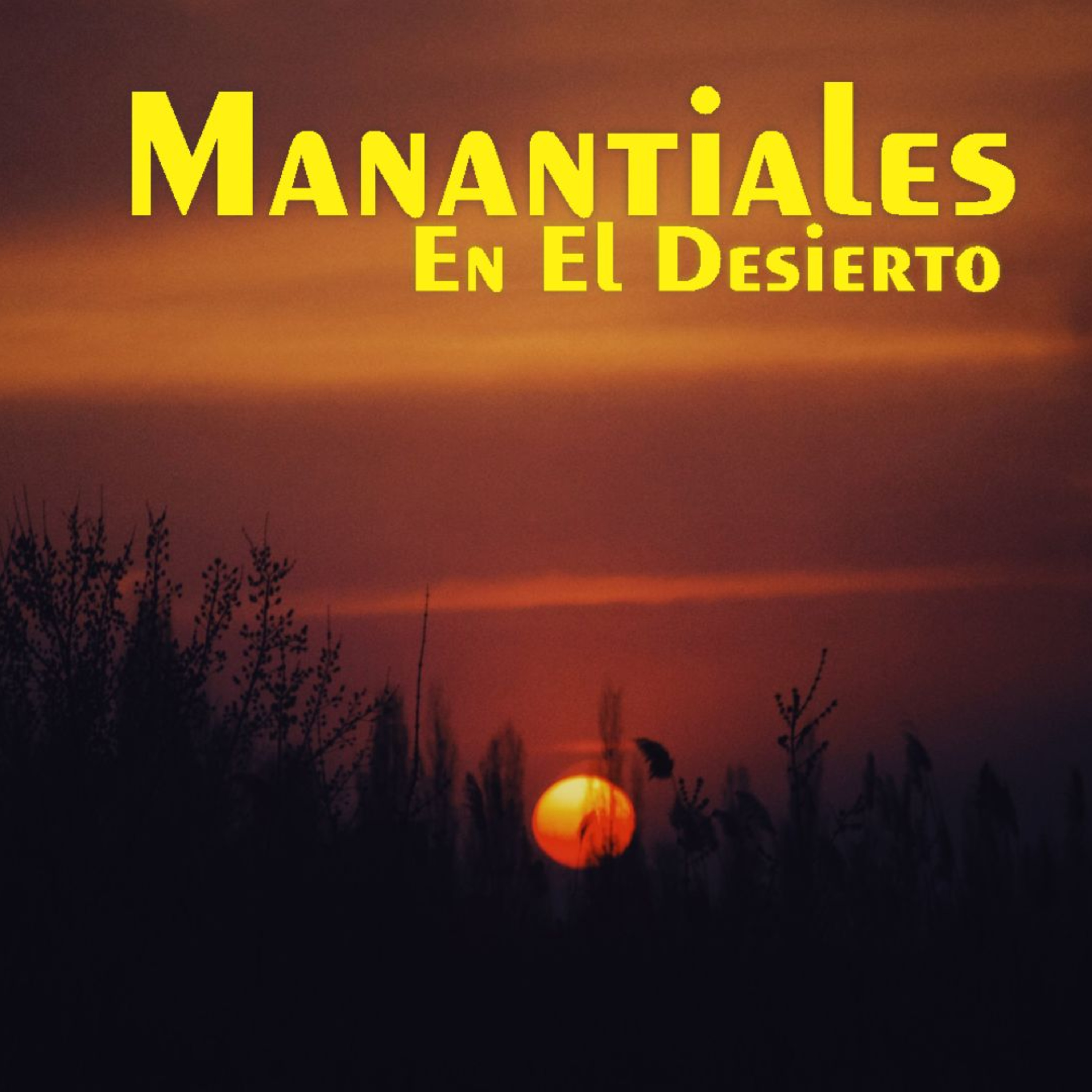 Manantiales en el Desierto - 17 de Enero episode artwork