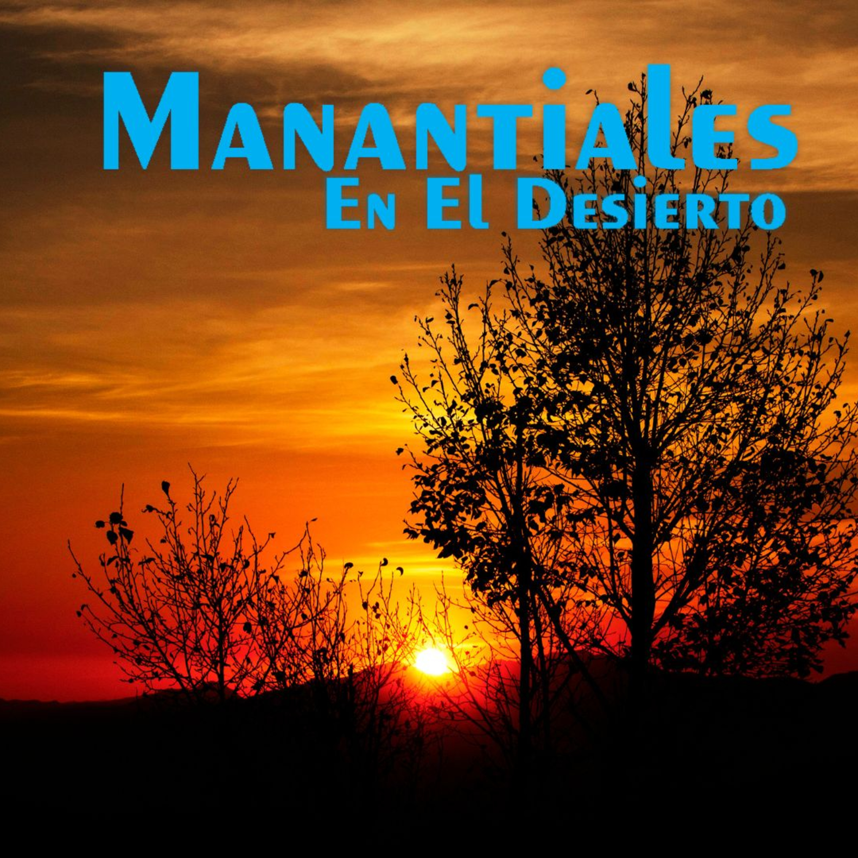 Manantiales en el Desierto - 20 de Enero episode artwork
