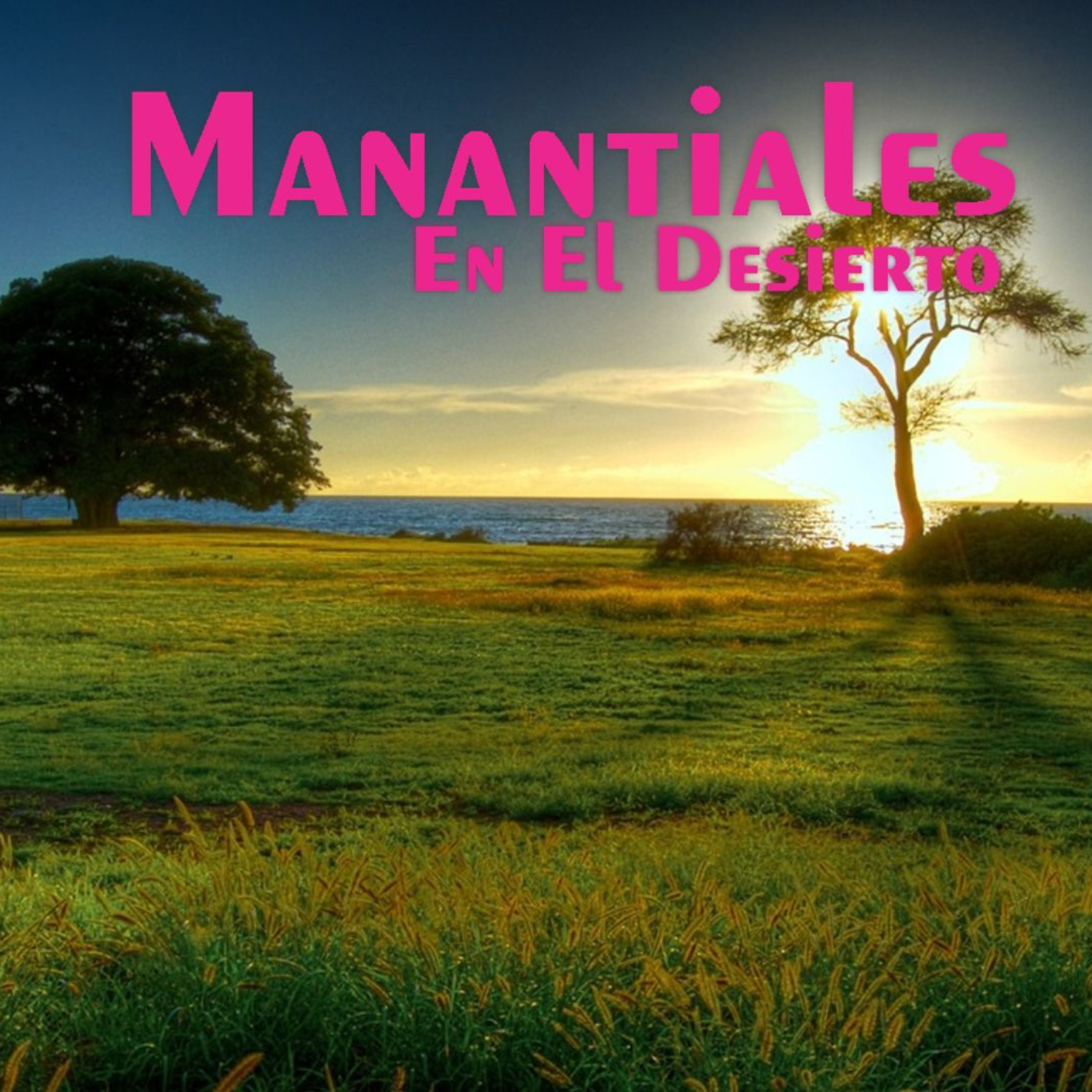 Manantiales en el Desierto - 22 de Enero episode artwork