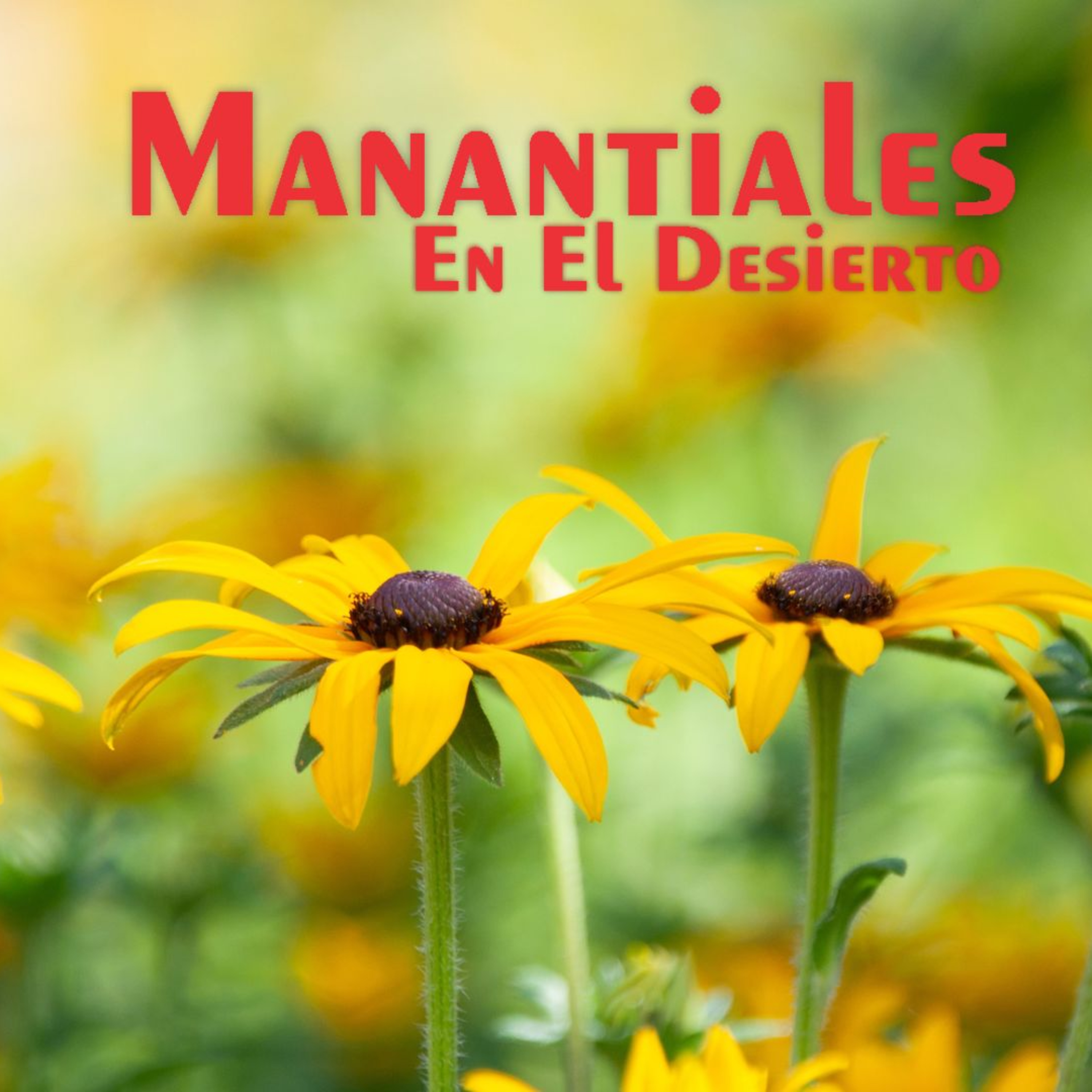 Manantiales en el Desierto - 28 de Enero episode artwork