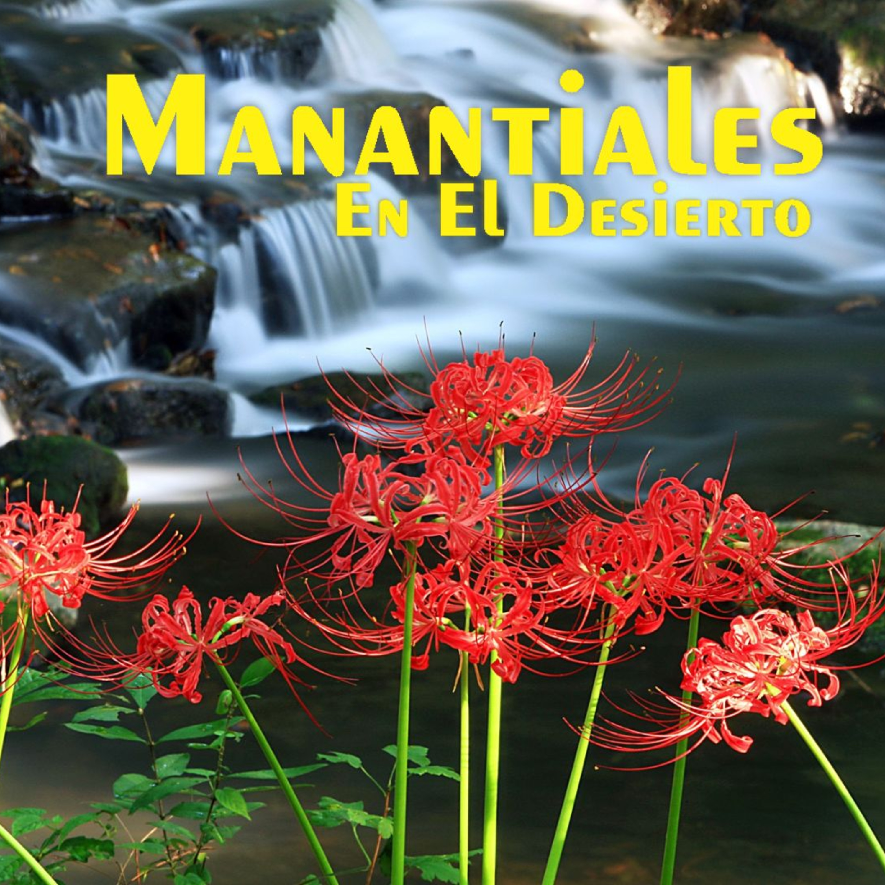 Manantiales en el Desierto - 22 de Febrero episode artwork