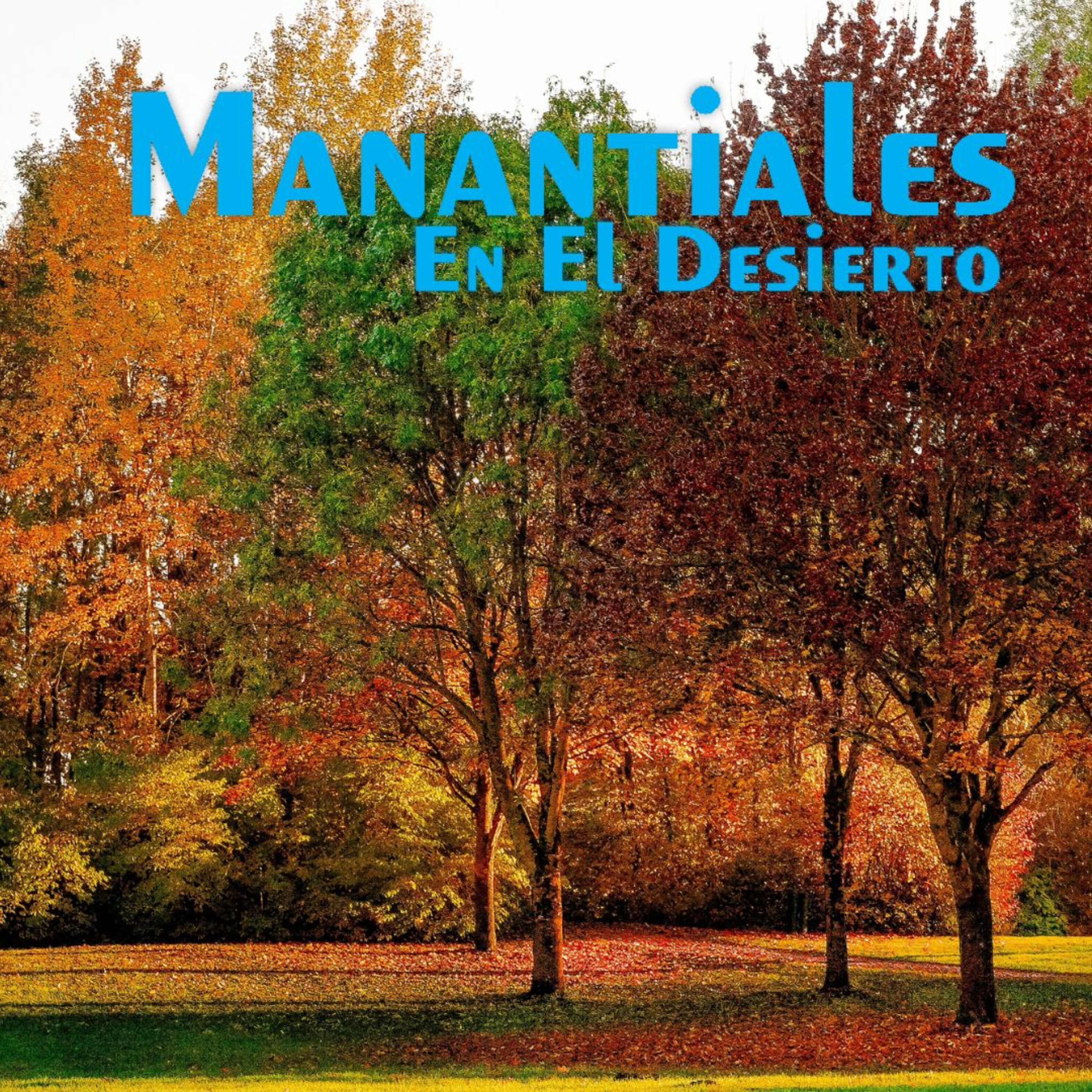 Manantiales en el Desierto - 28 de Febrero episode artwork