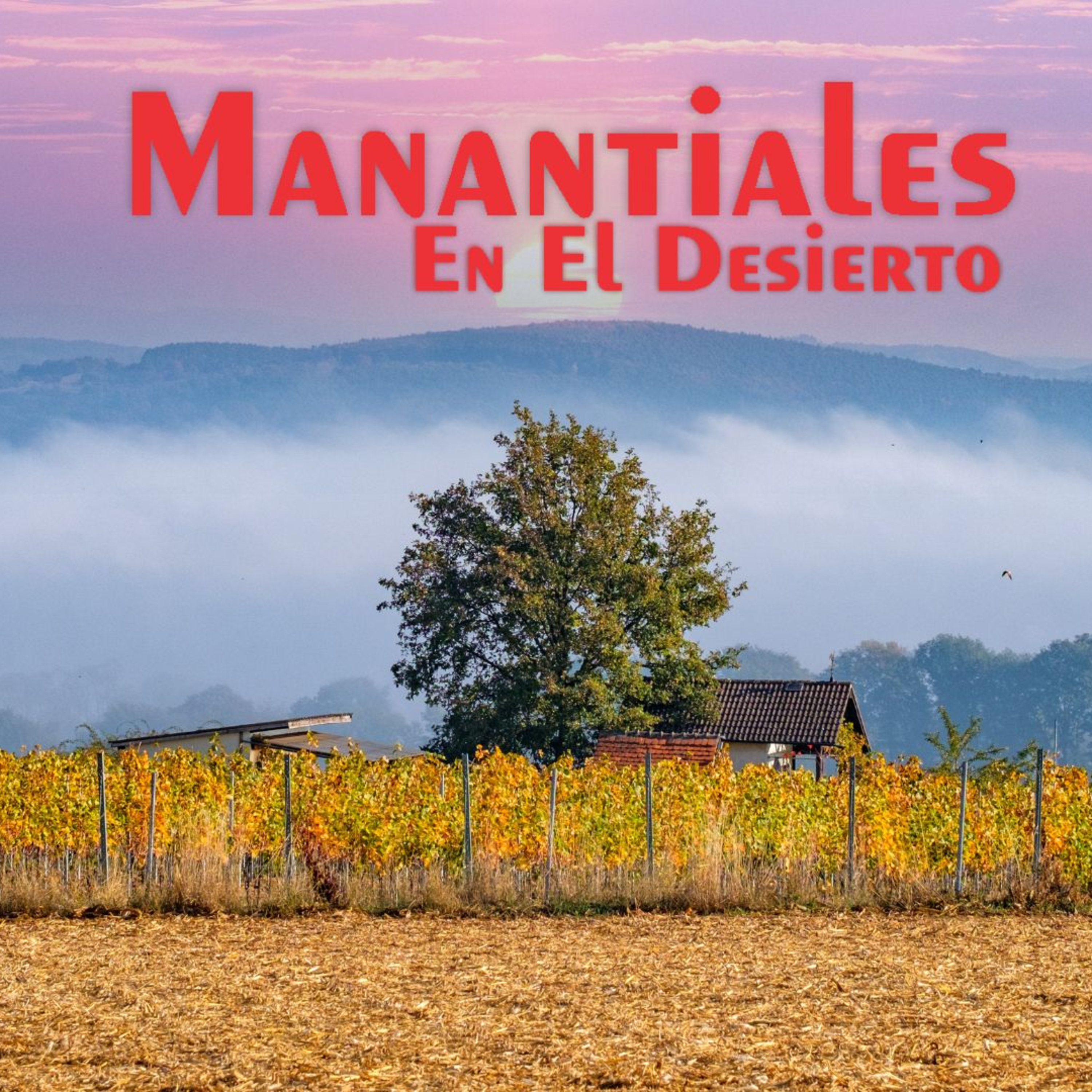 Manantiales en el Desierto - 6 de Marzo episode artwork