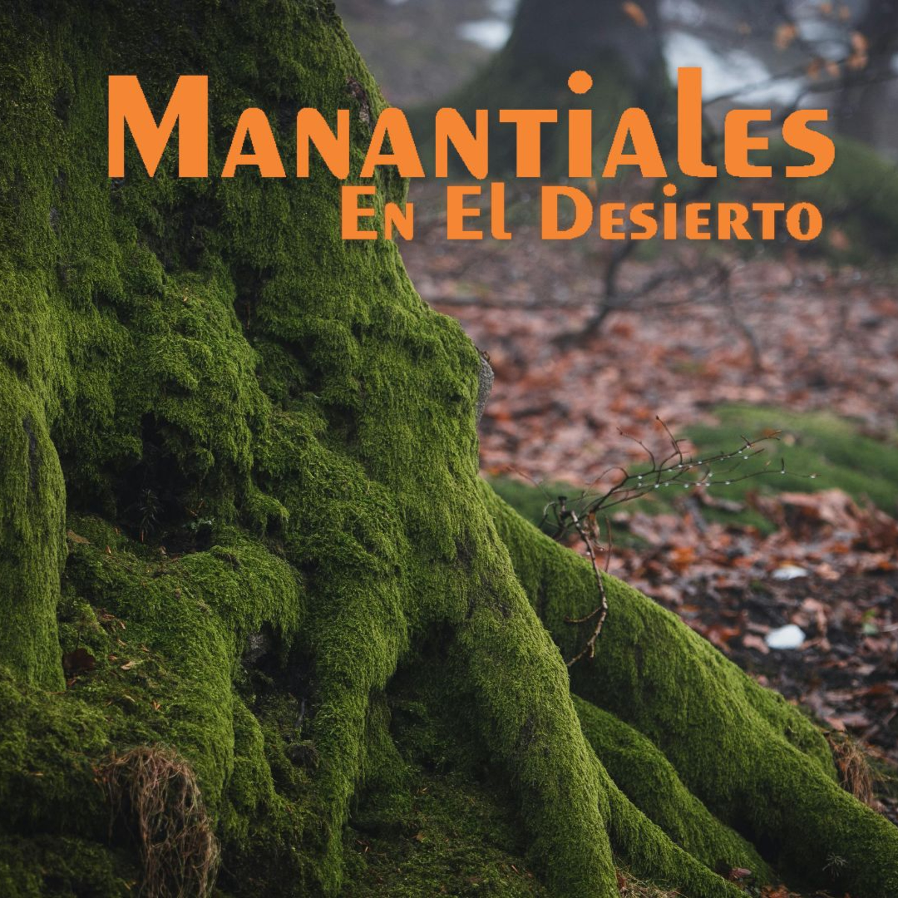 Manantiales en el Desierto - 26 de Marzo episode artwork