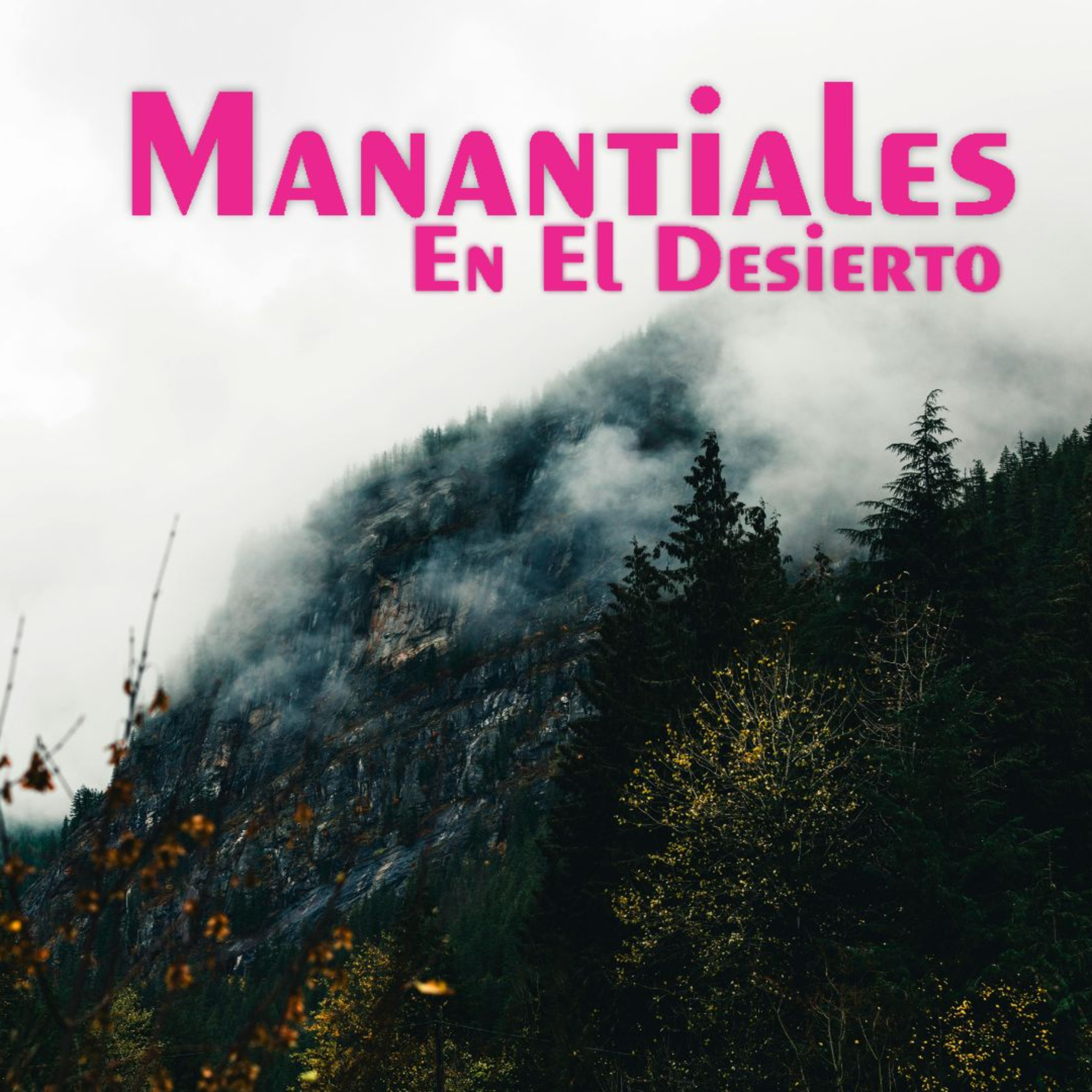 Manantiales en el Desierto - 27 de Marzo. episode artwork