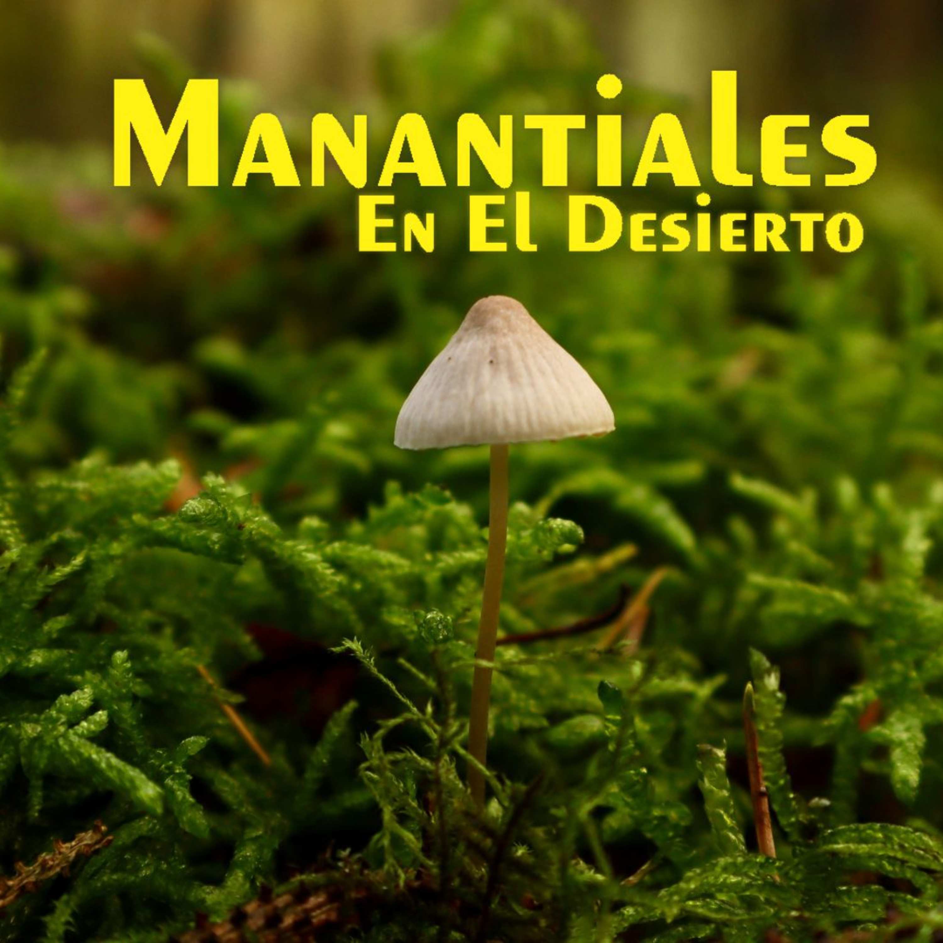 Manantiales en el Desierto - 29 de Marzo episode artwork