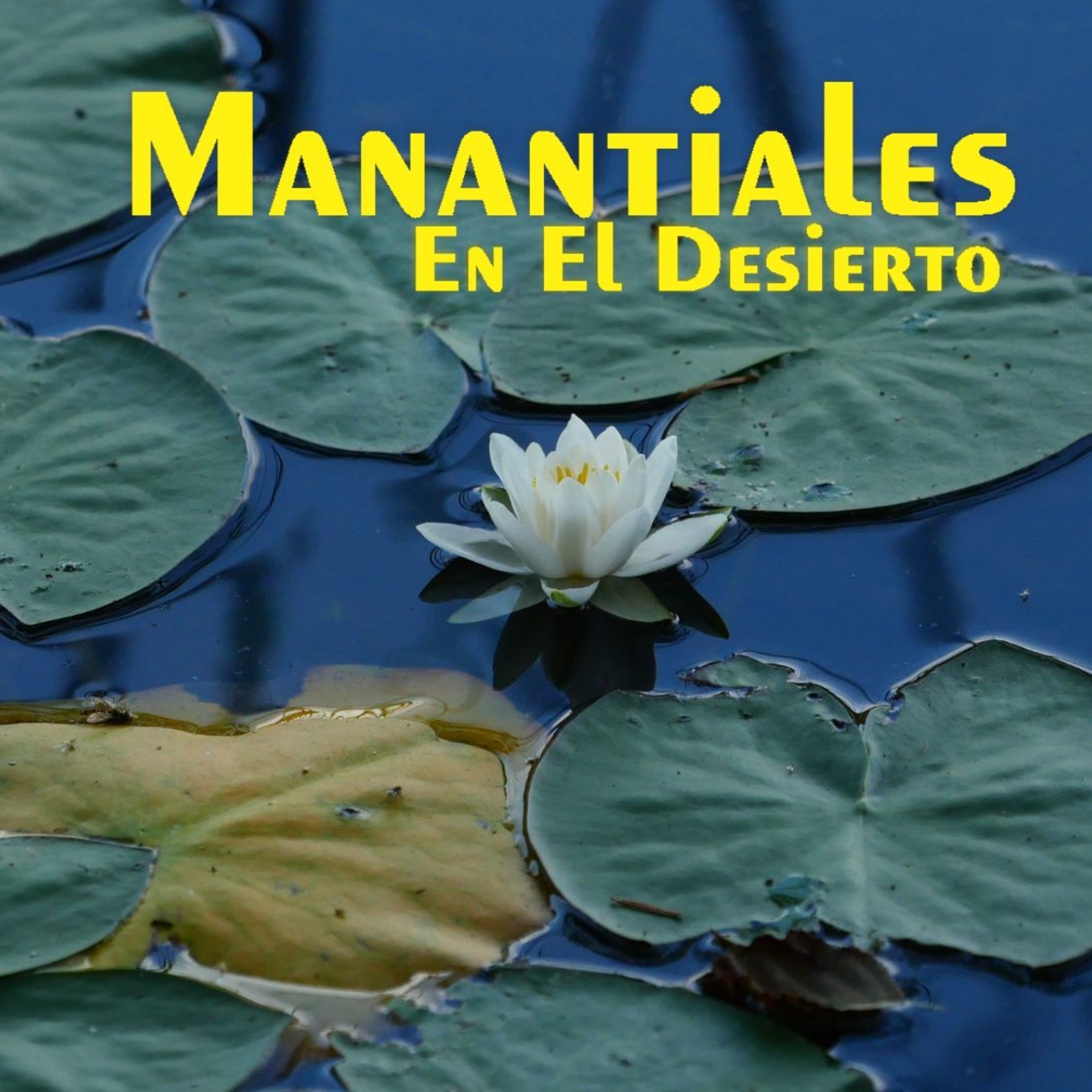 Manantiales en el Desierto - 30 de Marzo episode artwork