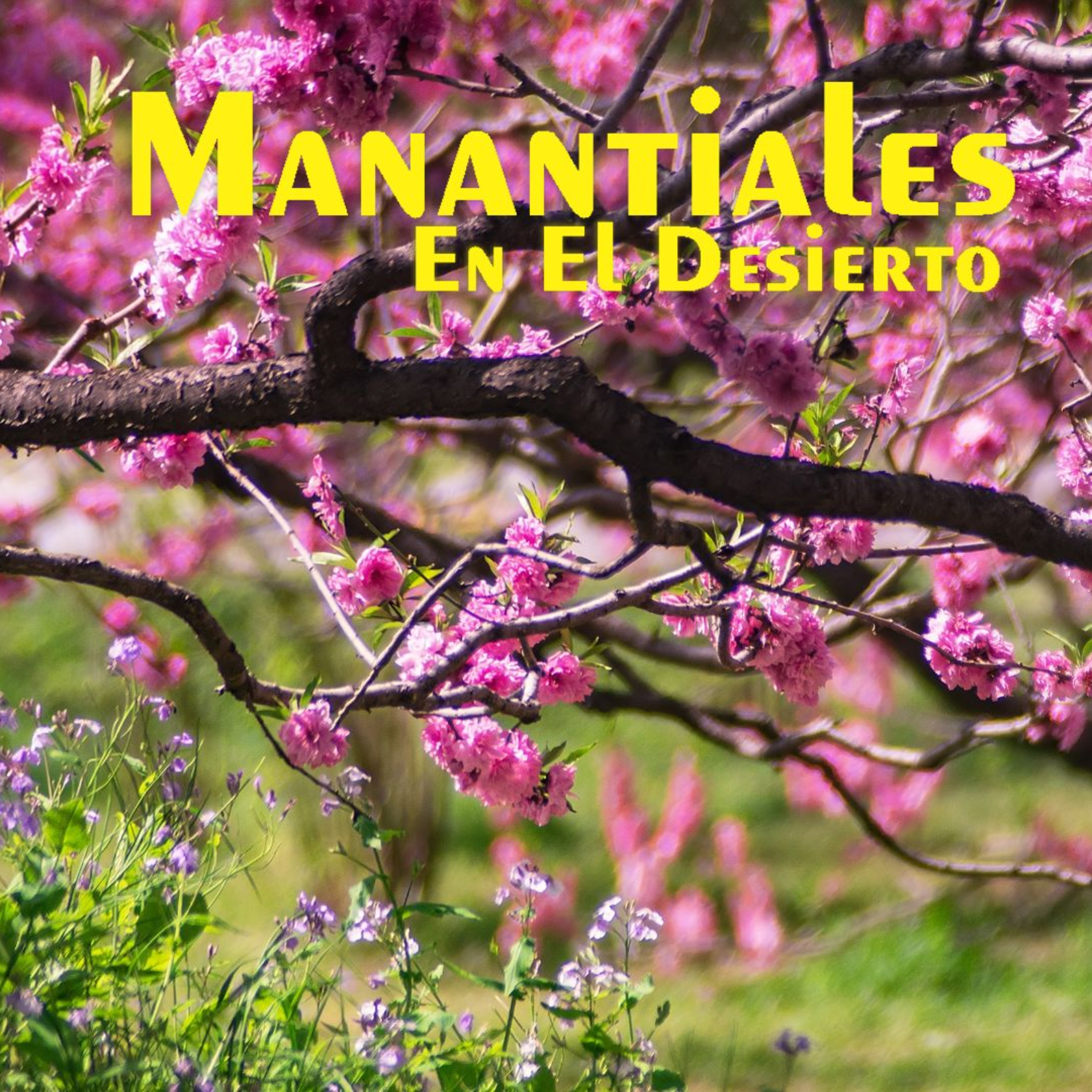 Manantiales en el Desierto - 16 de Abril episode artwork