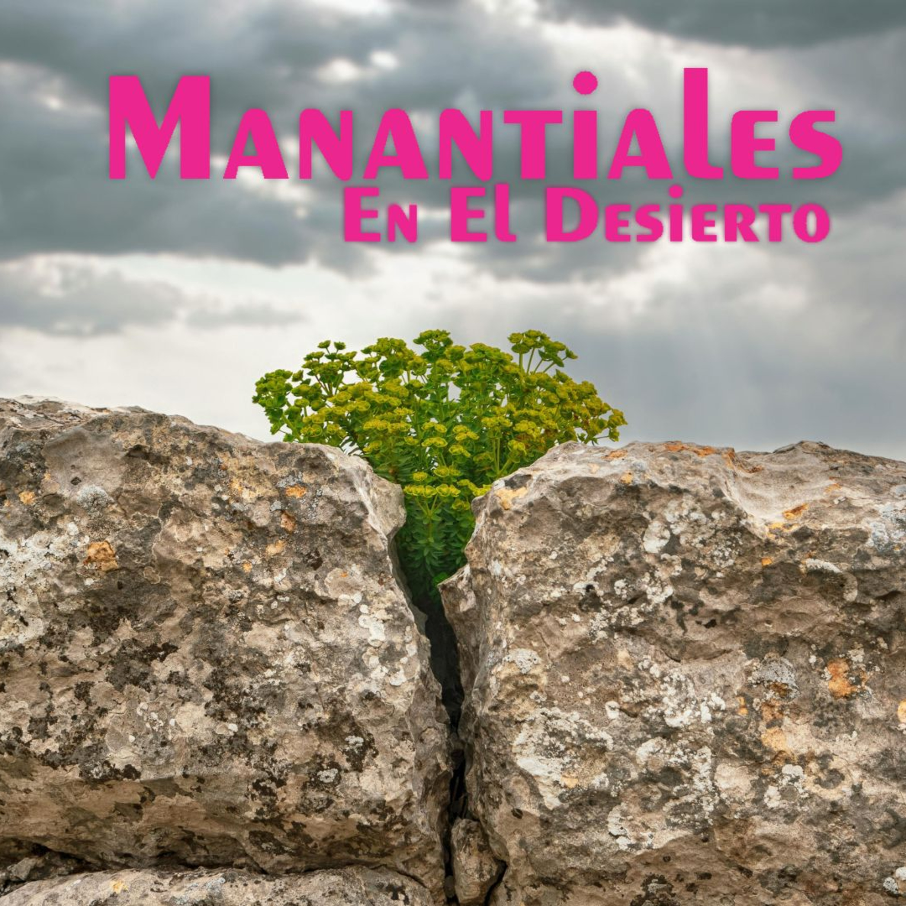 Manantiales en el Desierto - 29 de Abril episode artwork