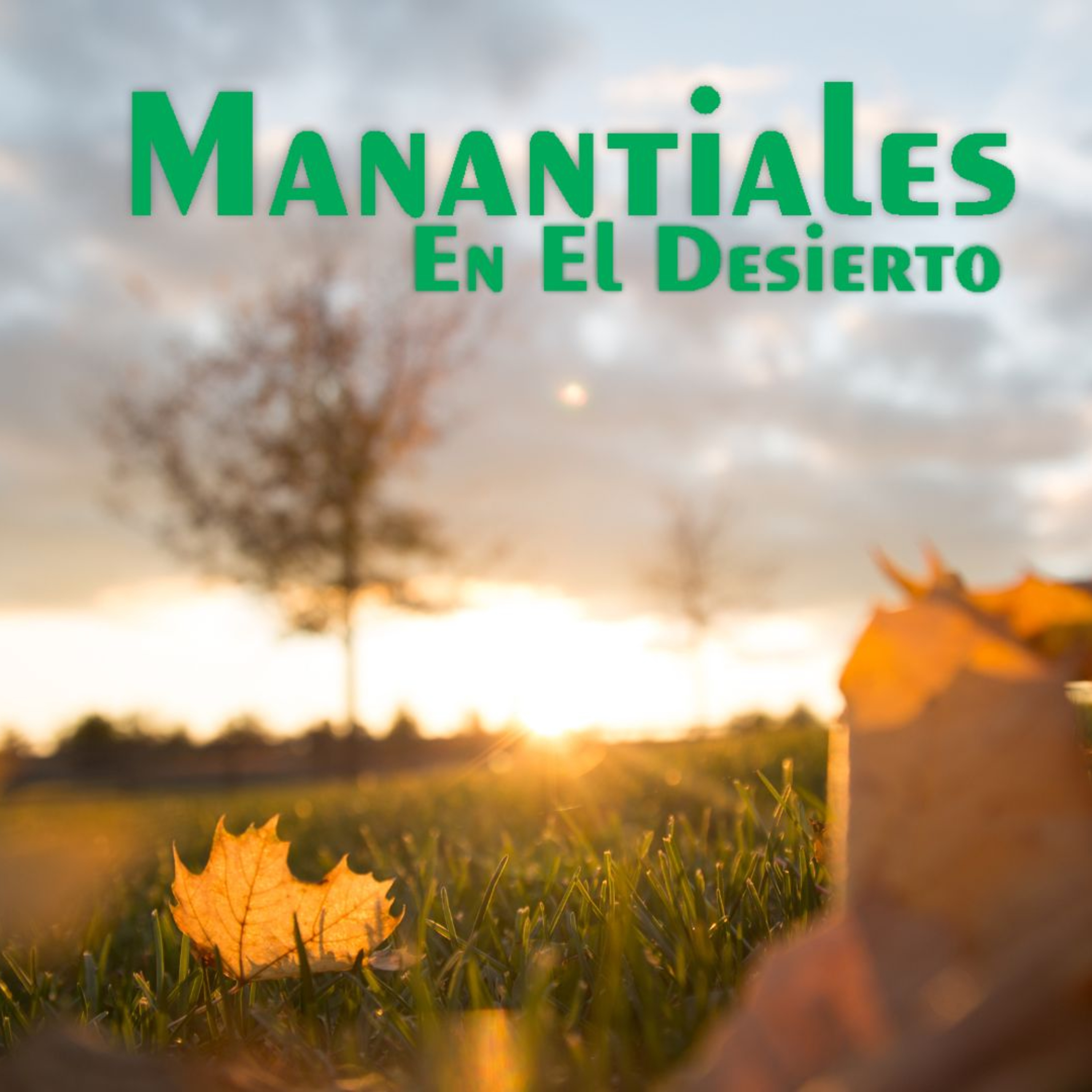 Manantiales en el Desierto - 8 de Mayo episode artwork