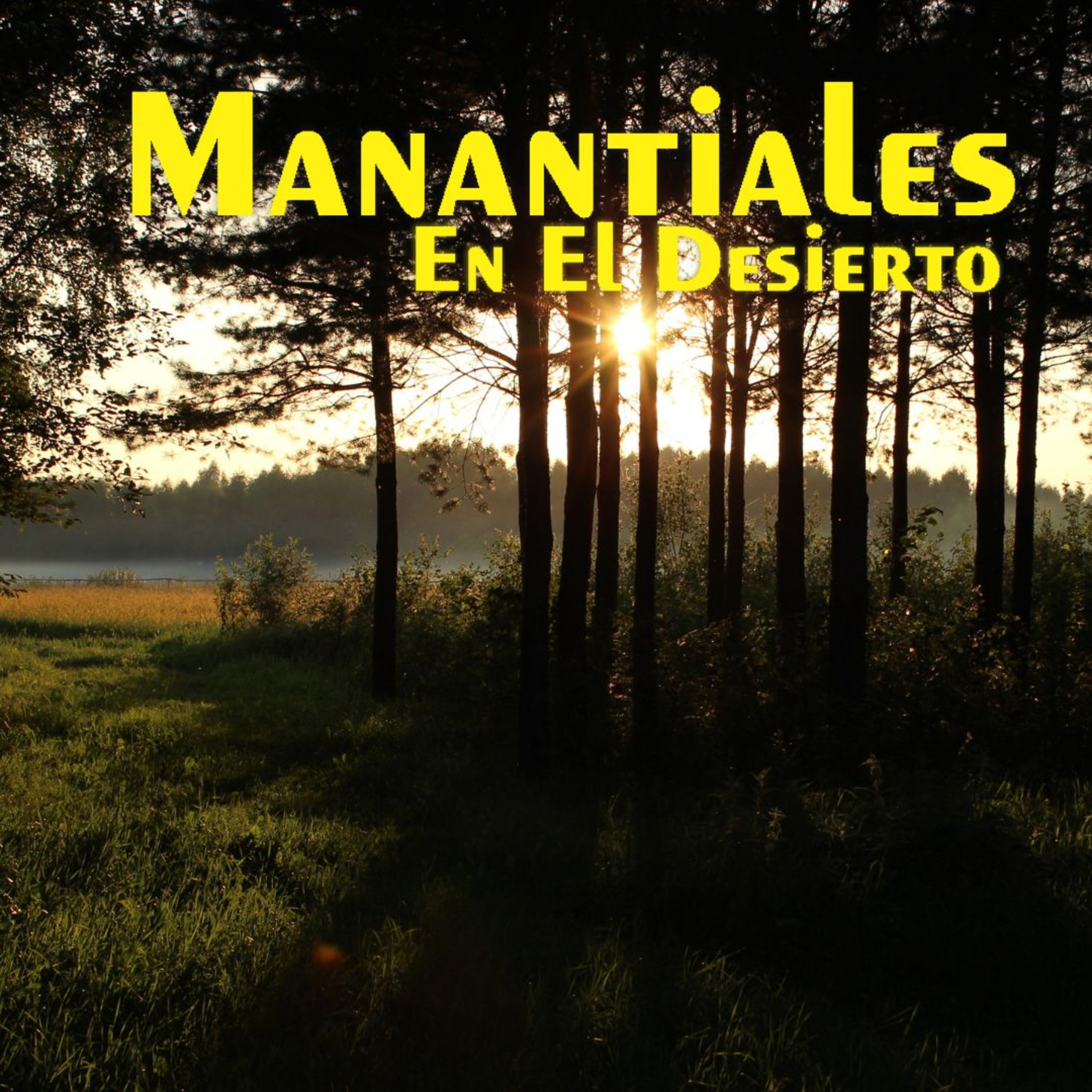 Manantiales en el Desierto - 10 de Mayo episode artwork