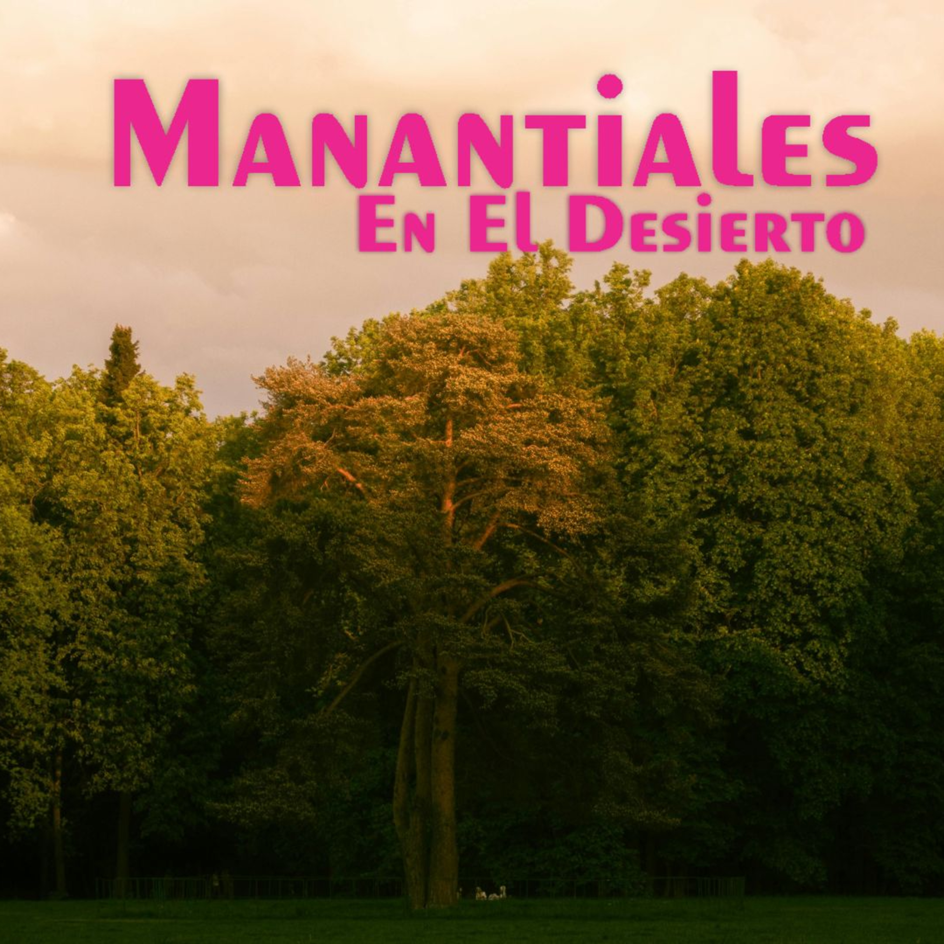Manantiales en el Desierto - 11 de Mayo episode artwork