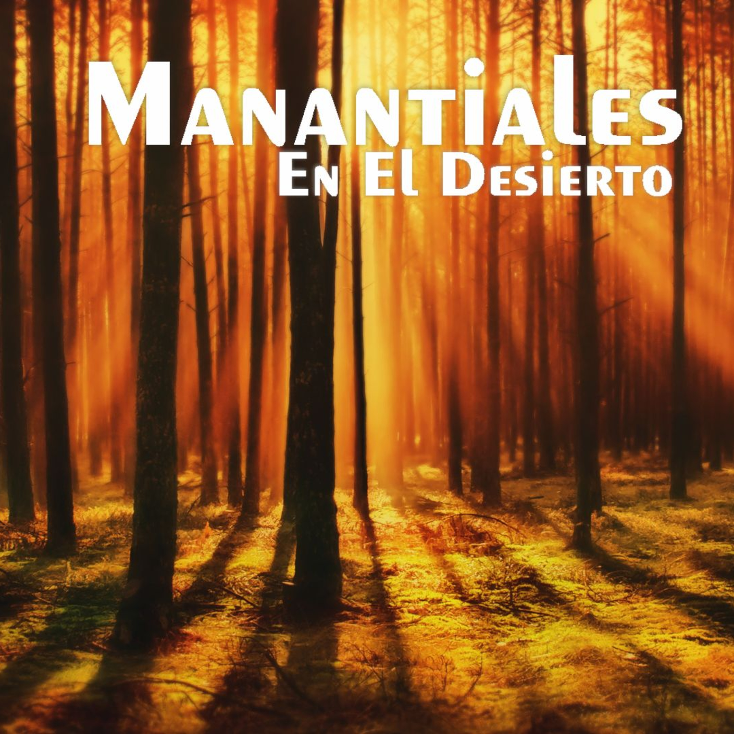 Manantiales en el Desierto - 14 de Mayo