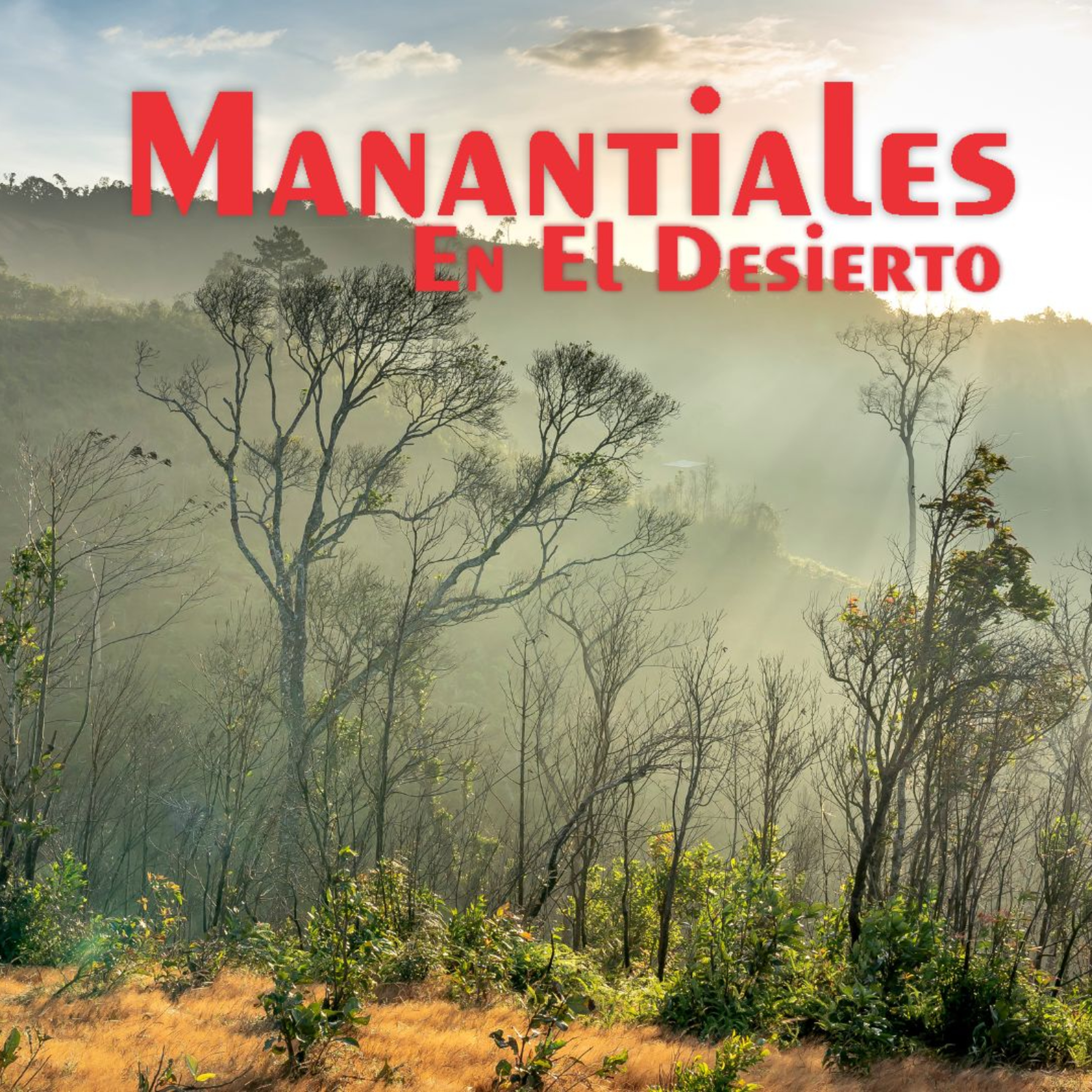 Manantiales en el Desierto - 15 de Mayo