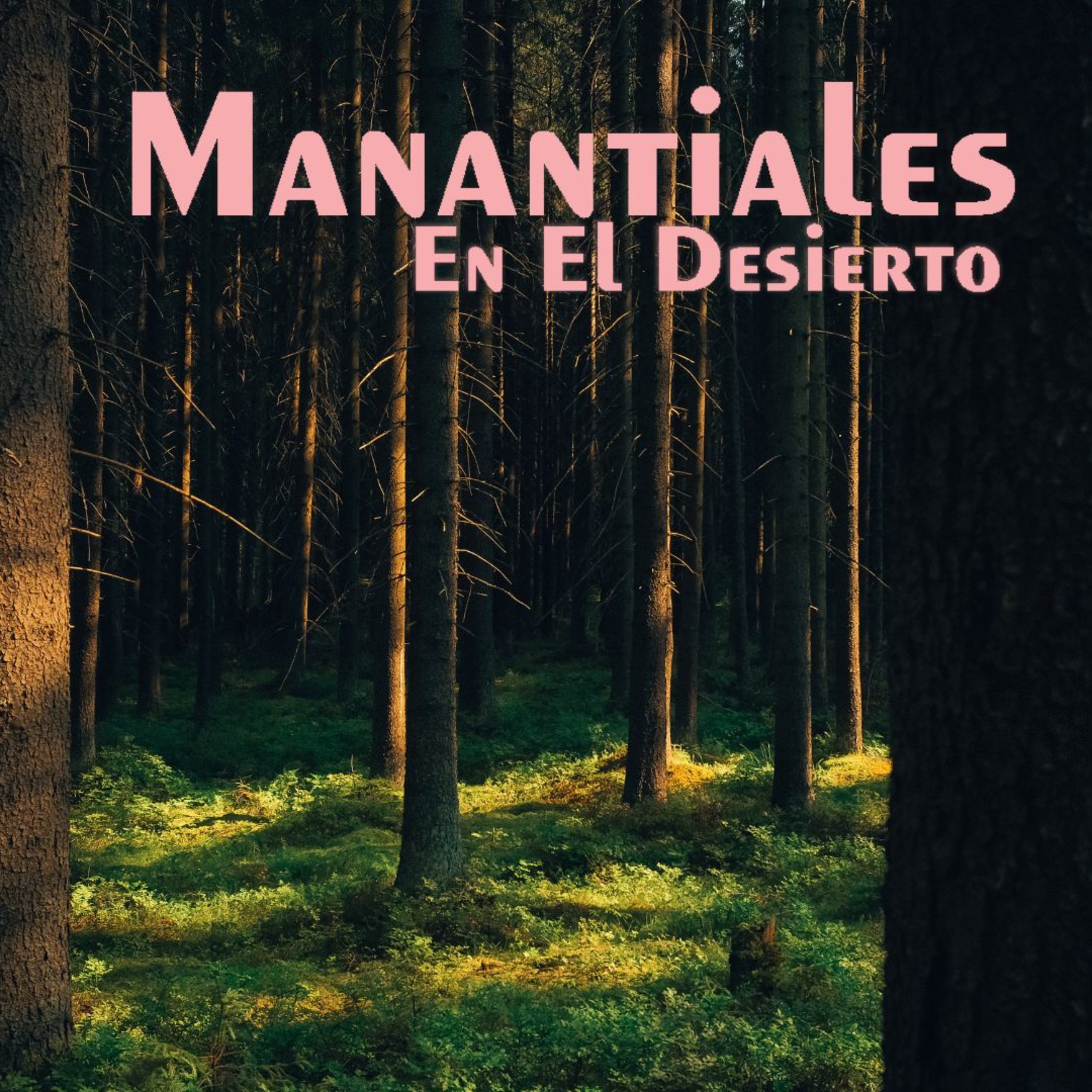 Manantiales en el Desierto - 16 de Mayo