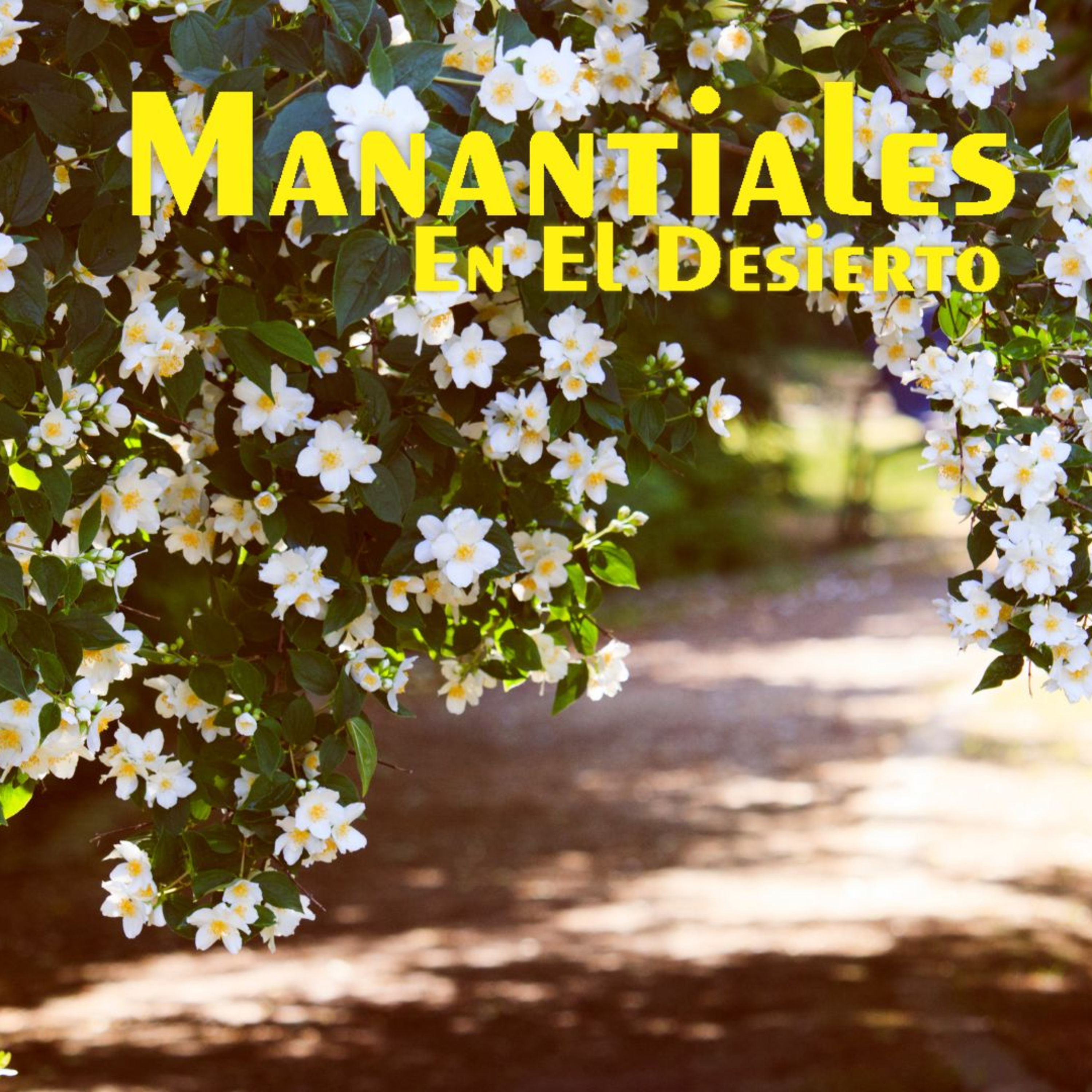 Manantiales en el Desierto - 18 de Mayo